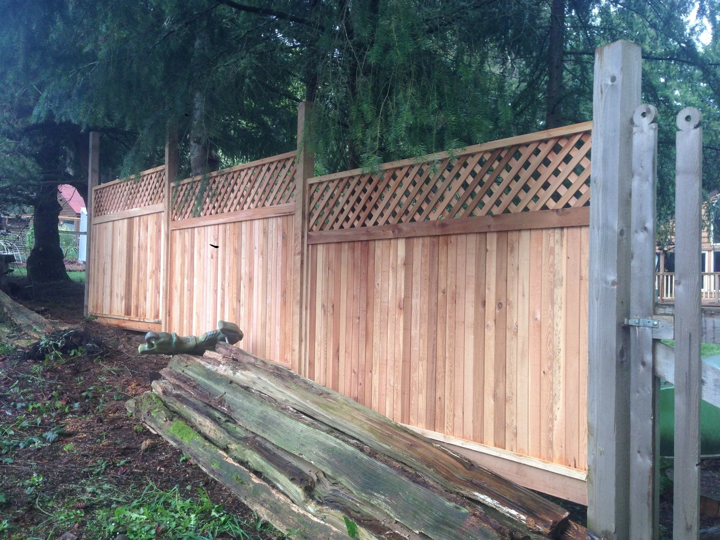 untitled shoot-2946.jpeg