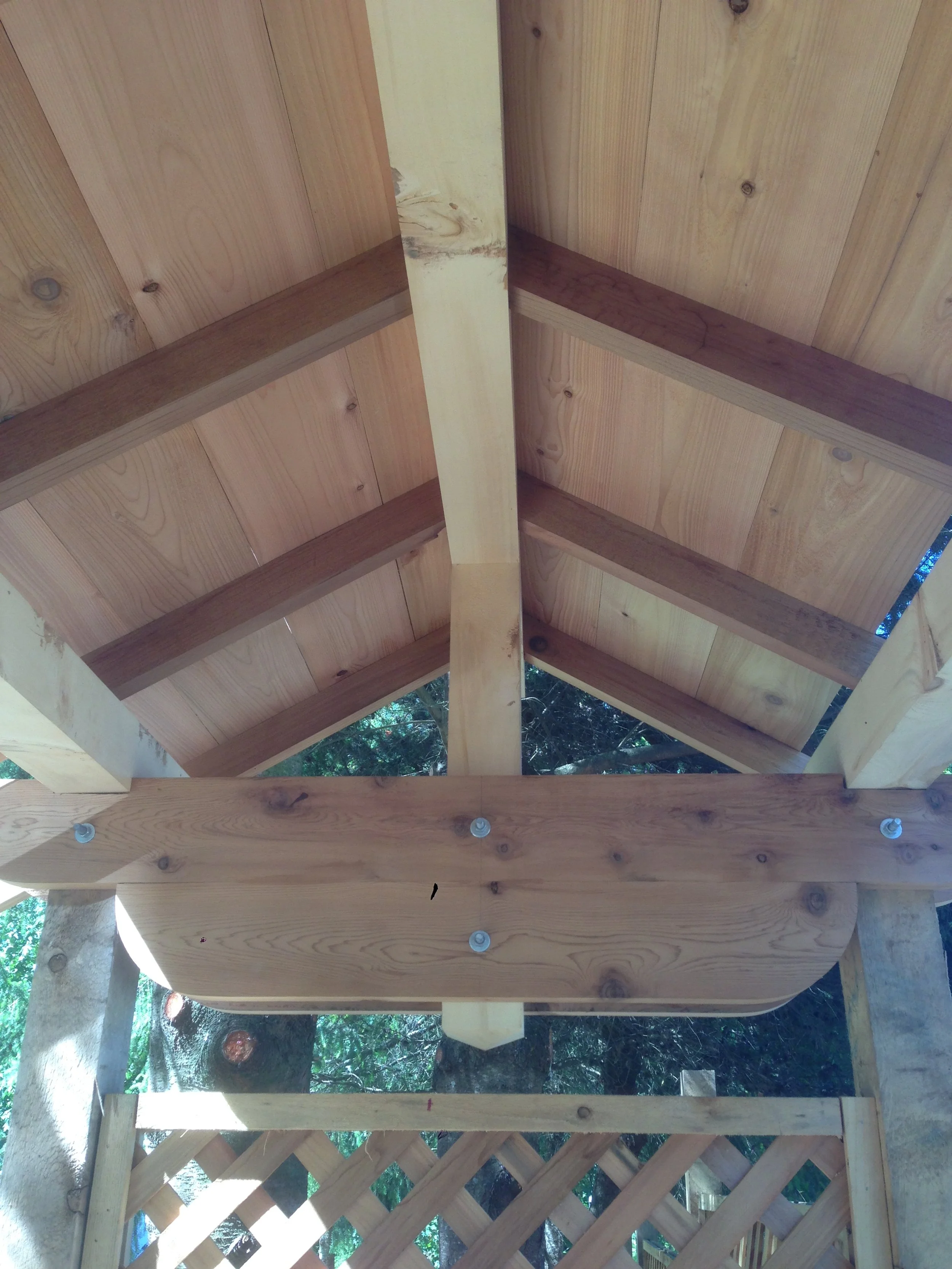 untitled shoot-3156.jpeg