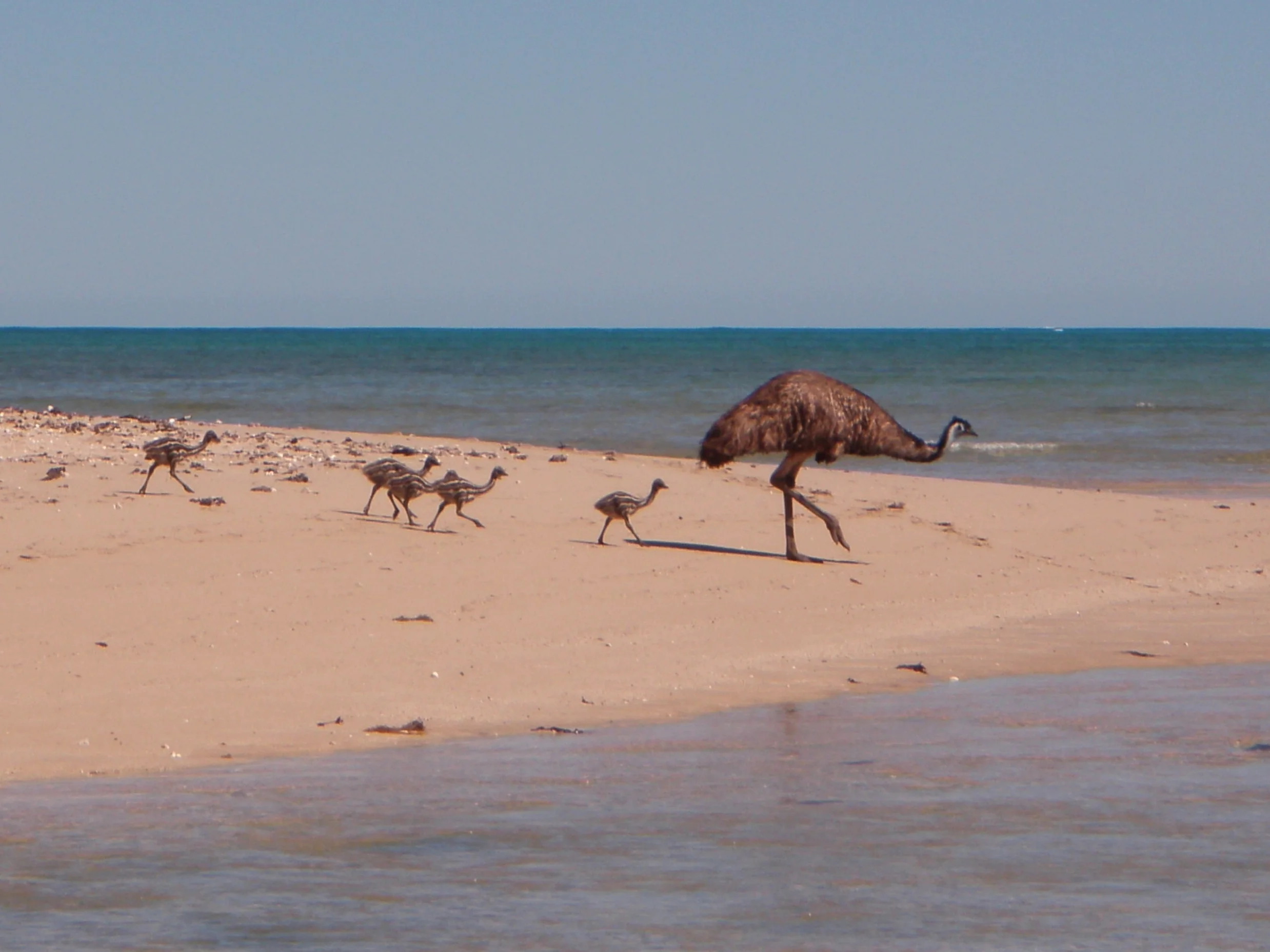 January 2010 067.JPG