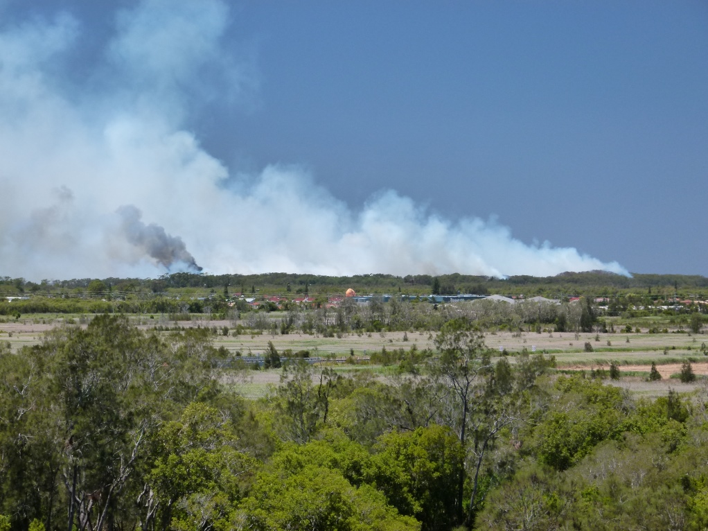 Bushfire Ballina Nov 16.JPG