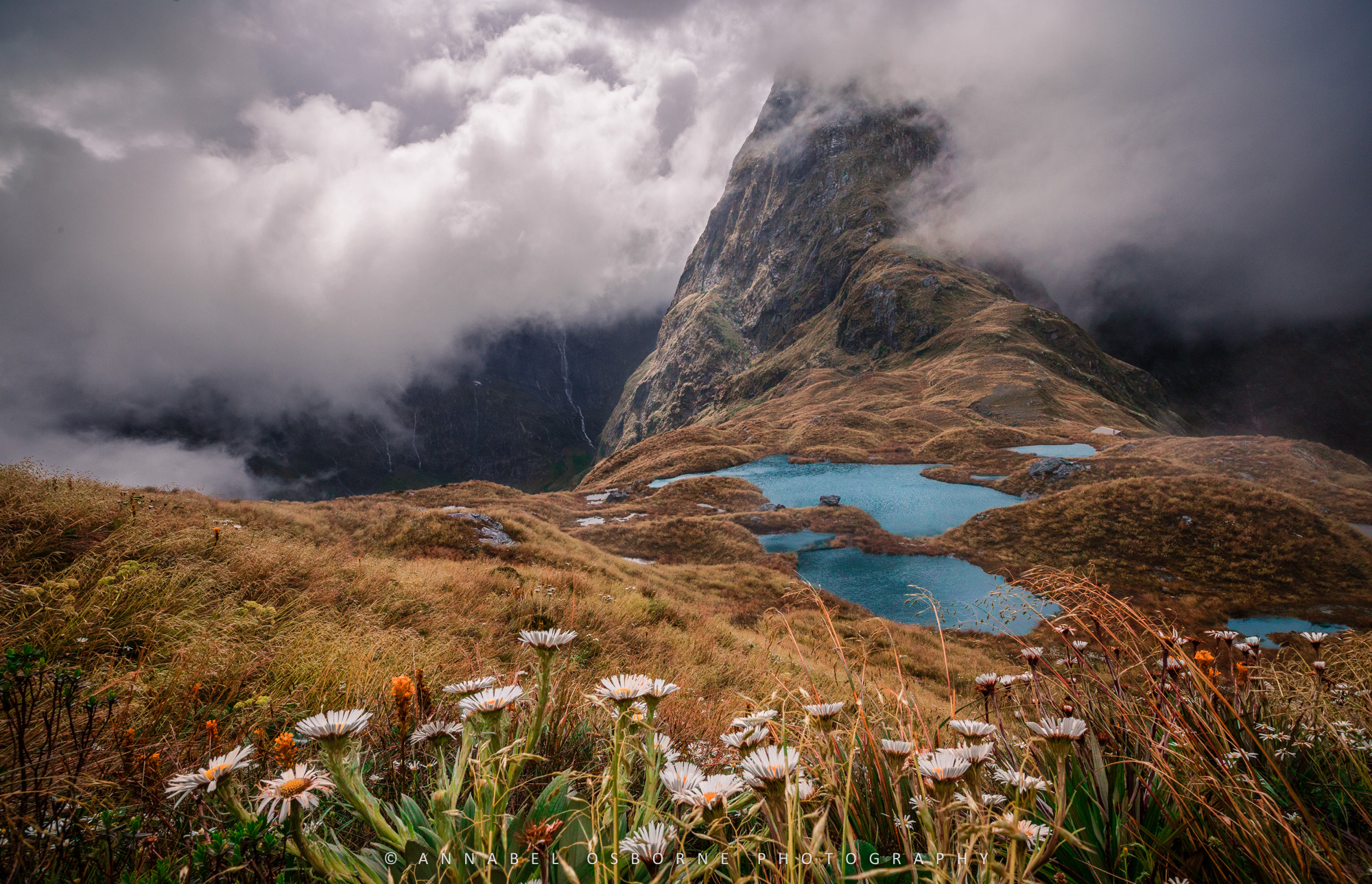 Atop MacKinnon's Pass - Blue Lakes and daisys-2019.jpg
