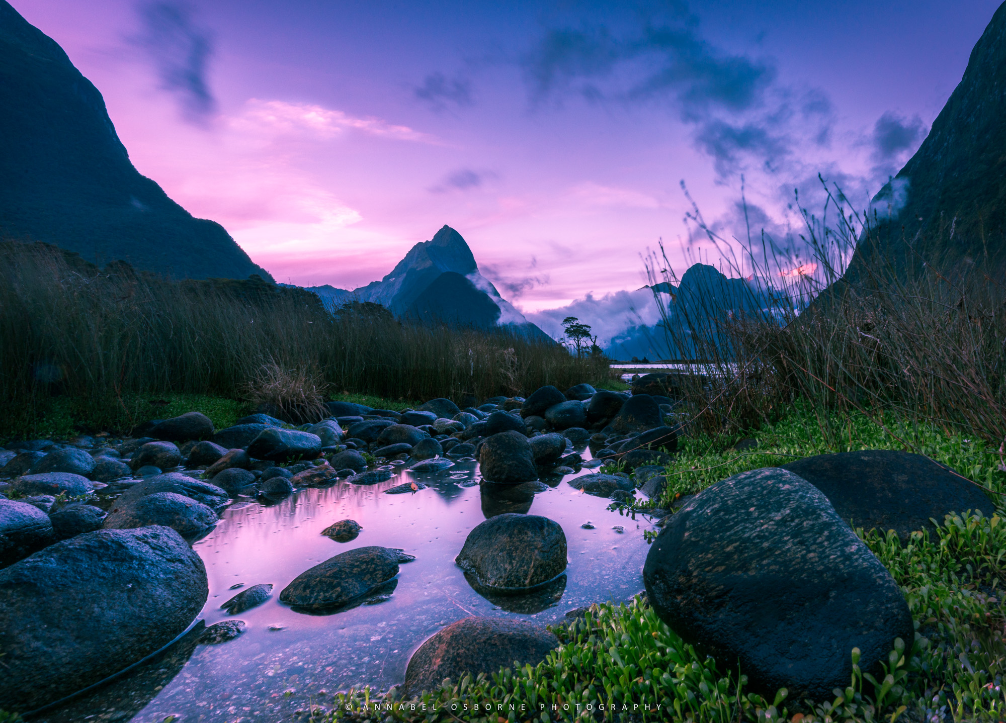 Milford Sound, NZ