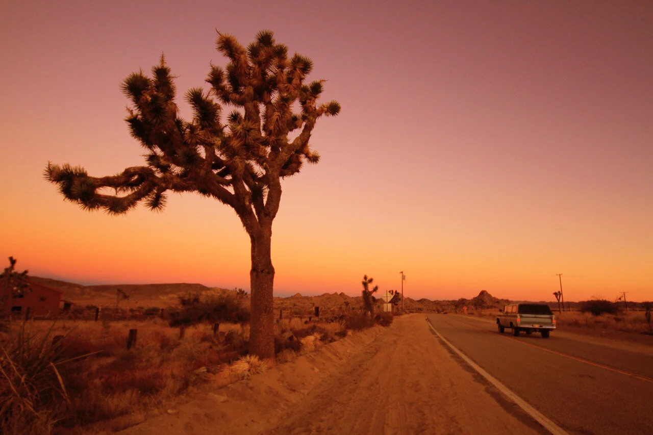 Los Angeles shoot, stills of live gig for music magazine