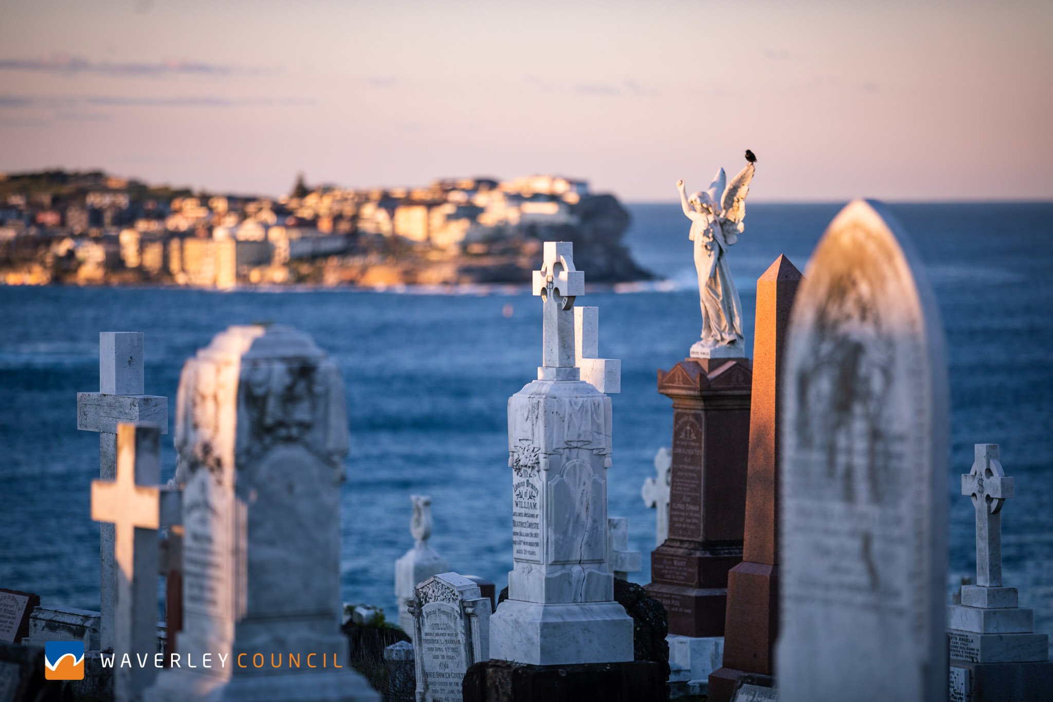 Waverley Cemetery 1-0282.jpg