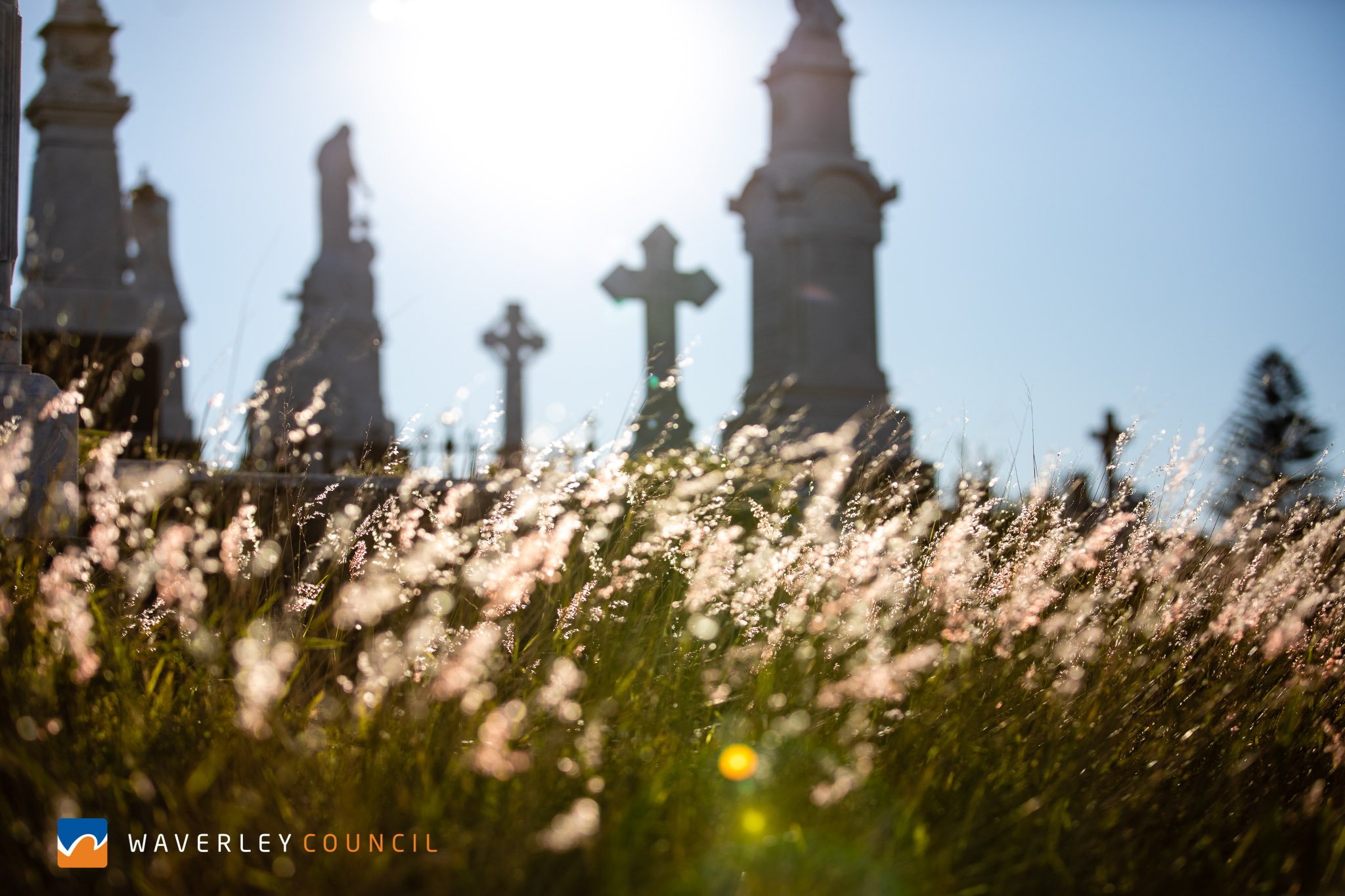 Waverley Cemetery 2-0123.jpg