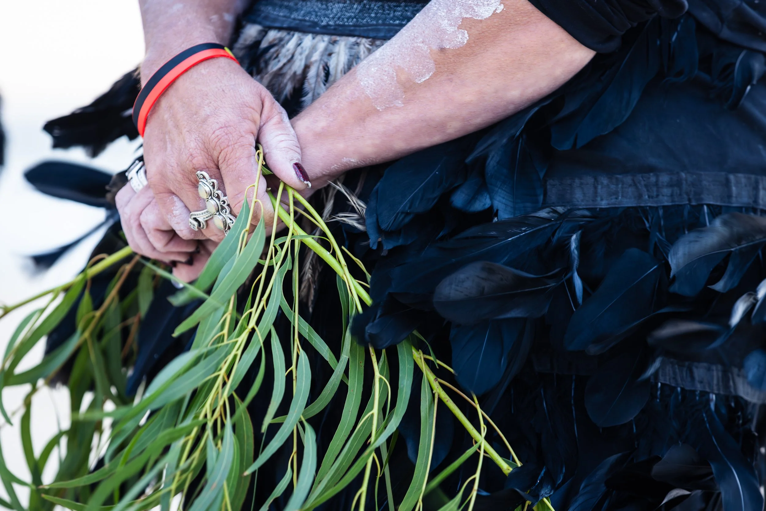 Dawn Reflection '26 - Selects - Press Ready Jpegs - Annabel Osborne Photography-4375.jpg