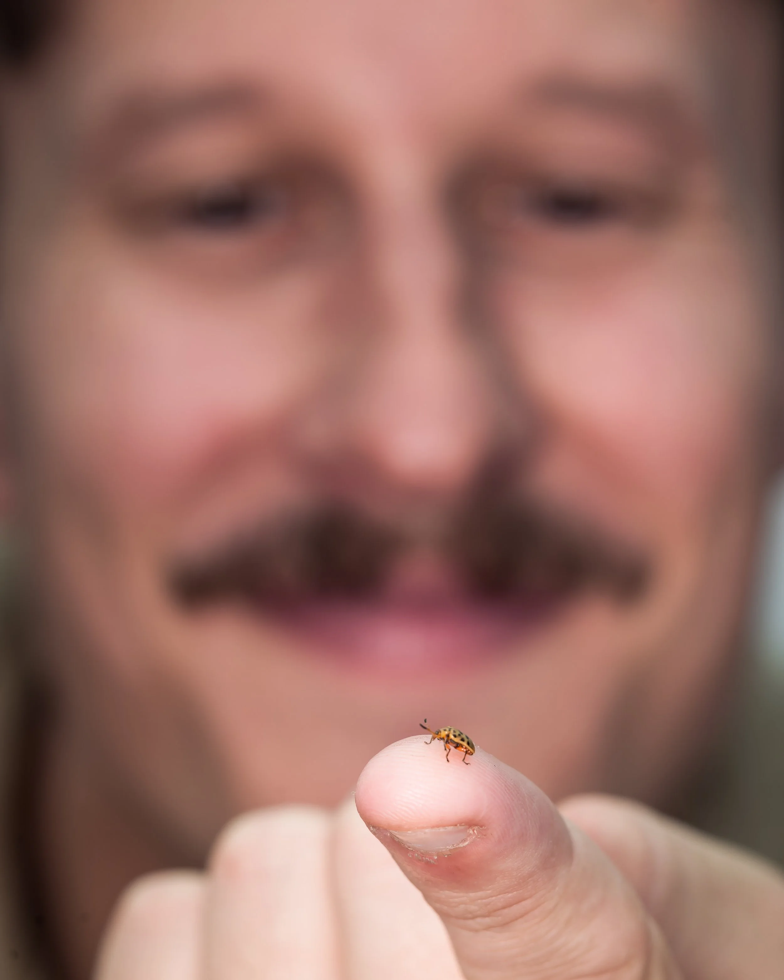 Hero Beetles Save Habitat - Hero Photos Sm Press Ready Jpegs - @annabel_osborne_photography 1 April 2026--4.jpg