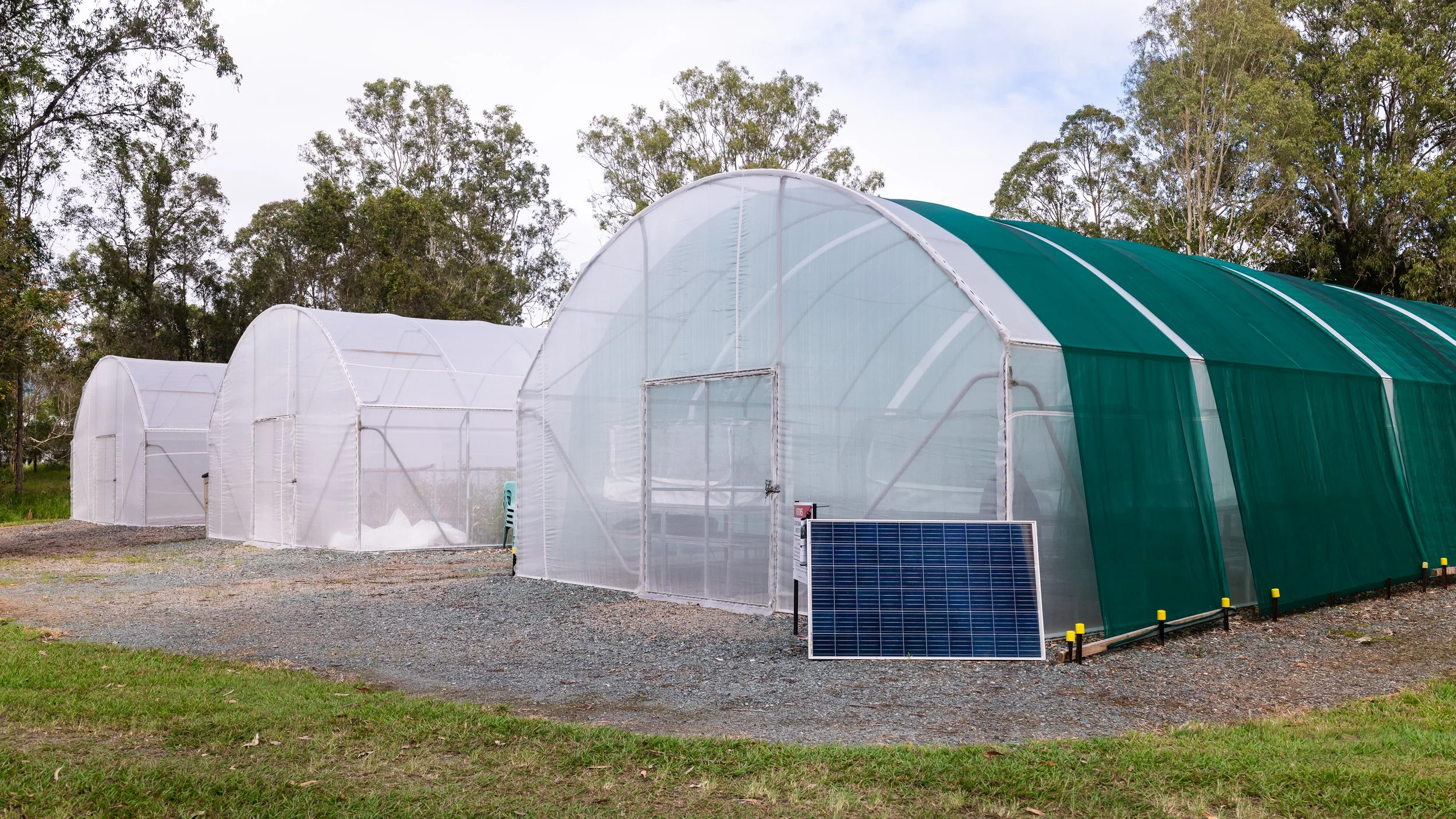 Hero Beetles Save Habitat - Add'l Selects - Sm Press Ready Jpegs - @annabel_osborne_photography 1 April 2026-8220.jpg