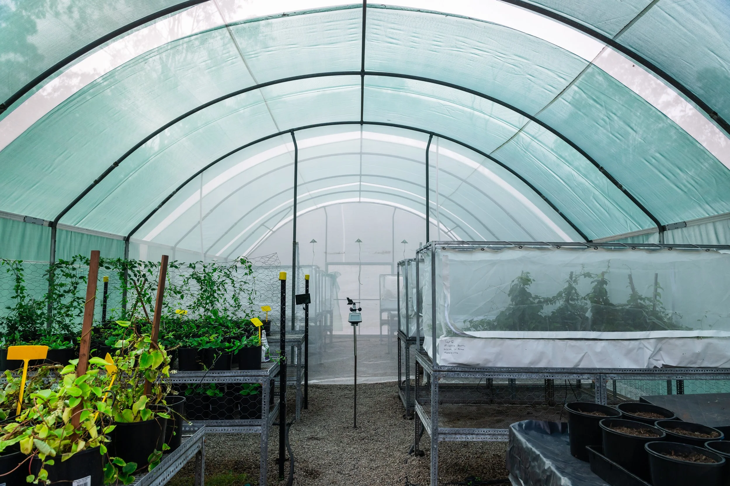 Hero Beetles Save Habitat - Add'l Selects - Sm Press Ready Jpegs - @annabel_osborne_photography 1 April 2026-8223.jpg