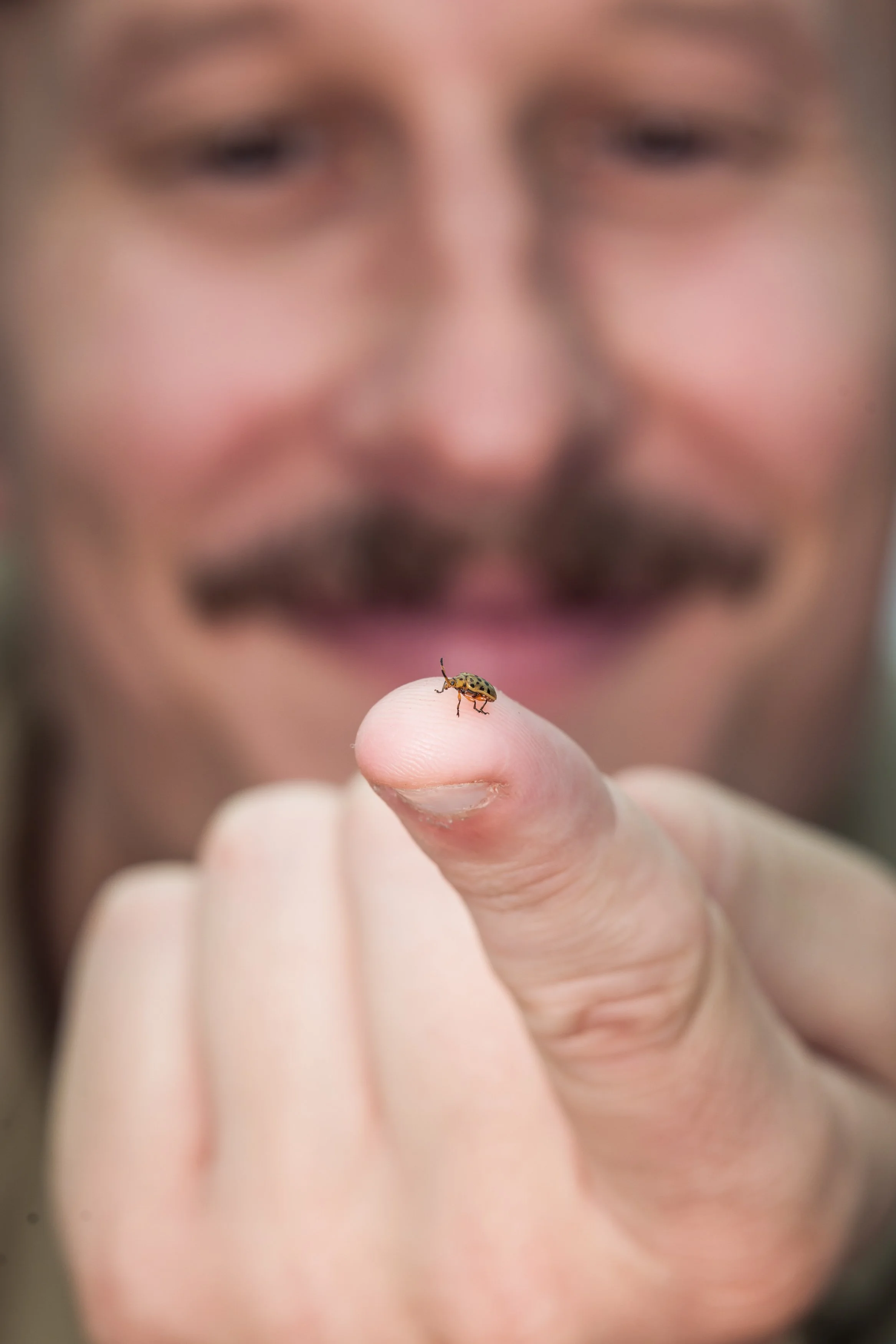 Hero Beetles Save Habitat - Add'l Selects - Sm Press Ready Jpegs - @annabel_osborne_photography 1 April 2026-8581.jpg