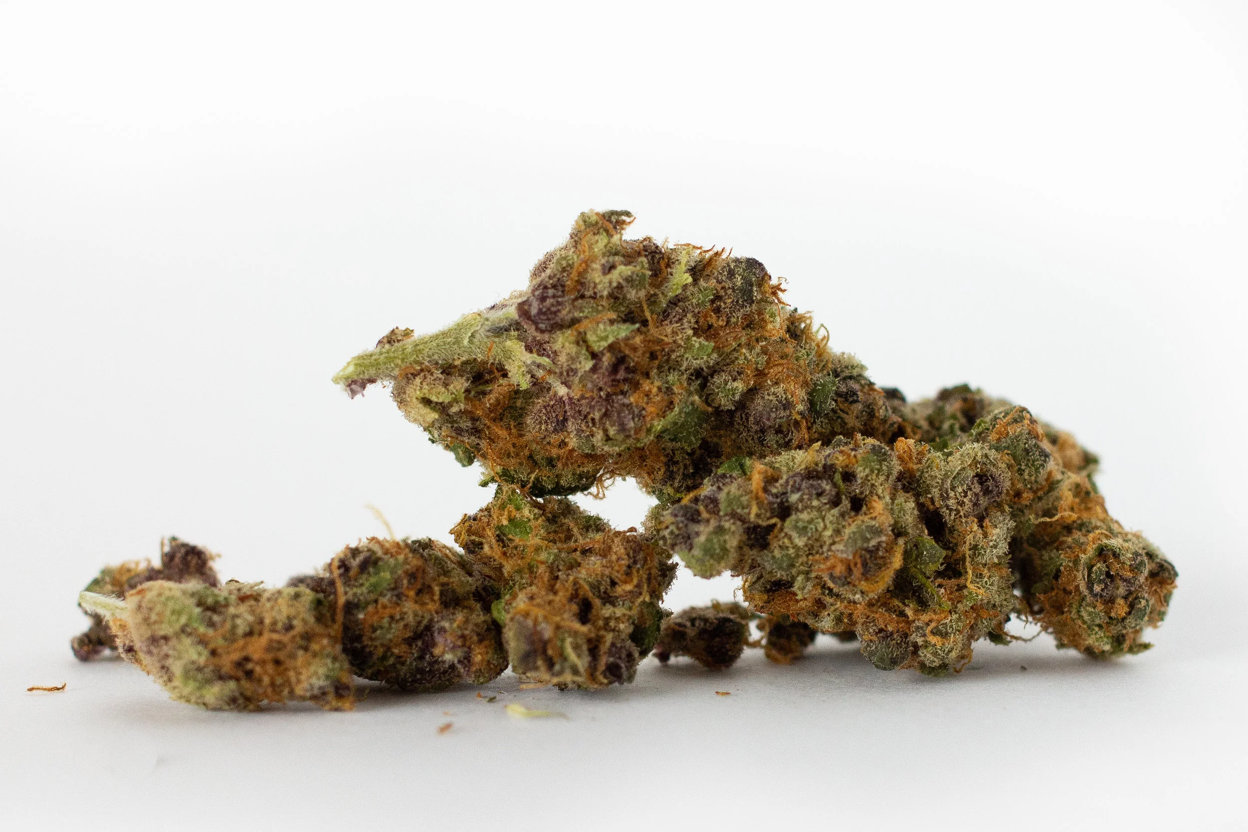 SanRafael_TangerineDream.jpg