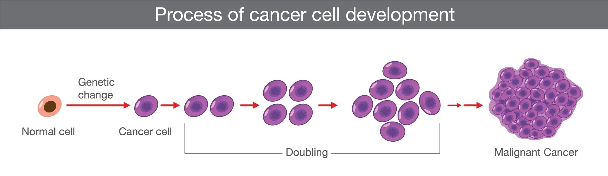 Skin Cancer Treatments — Dermatology & Laser Medical Center