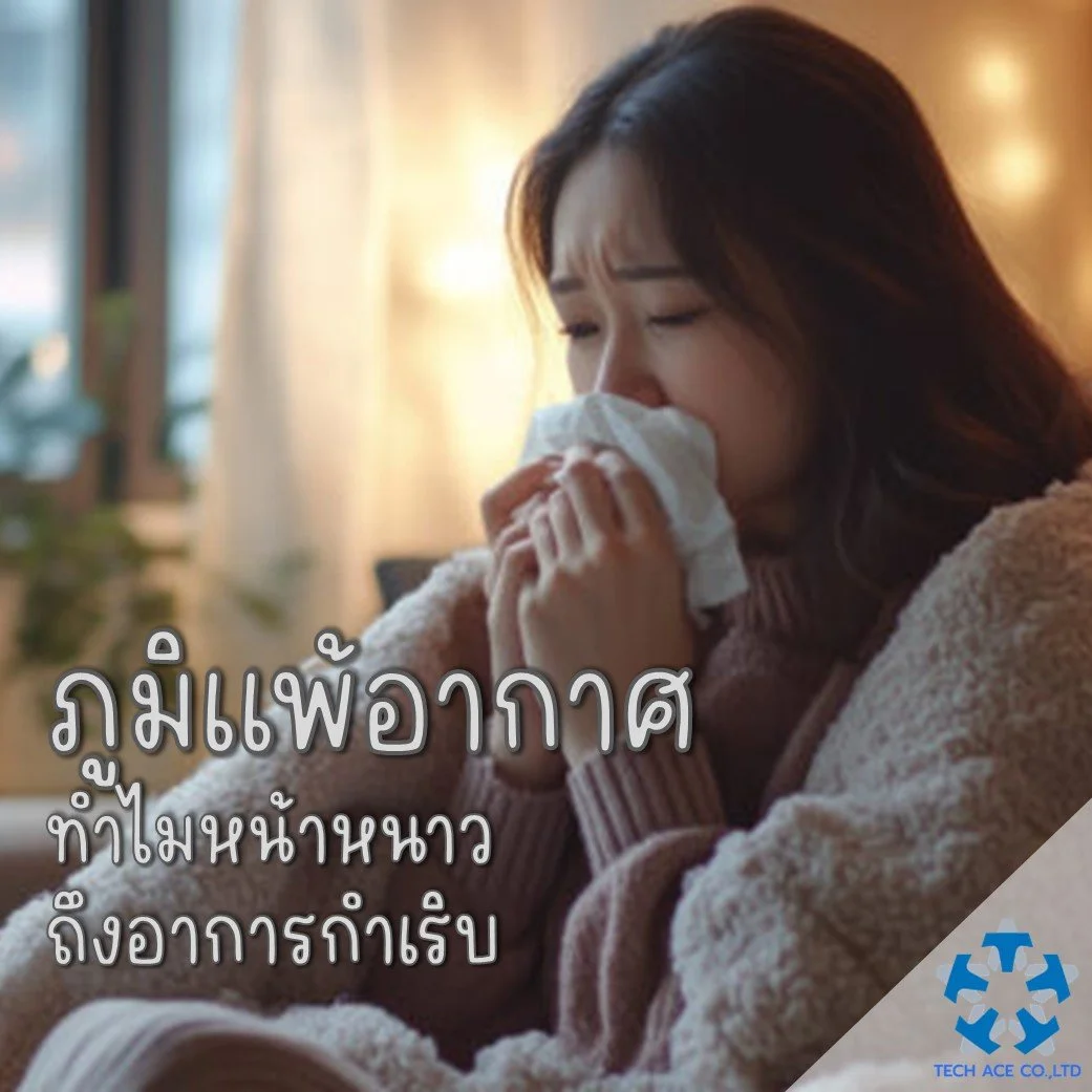 ภูมิแพ้อากาศ ทำไมหน้าหนาวถึงอาการกำเริบ