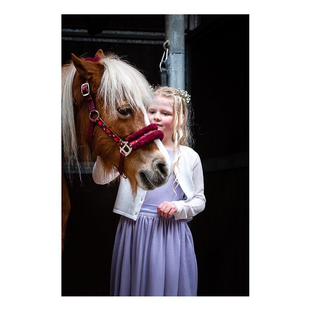 -Nieke-
She loves horses!💜
Communion photo shoot at the barn!🤩
A dream came true!😍
.
#celebrate #communion #photoshoot #barnlife #horses #spirit #kidsbekids #prettyinpurple #colorfulworld #capturingmoments #creatingmemories #authentic #portraits #