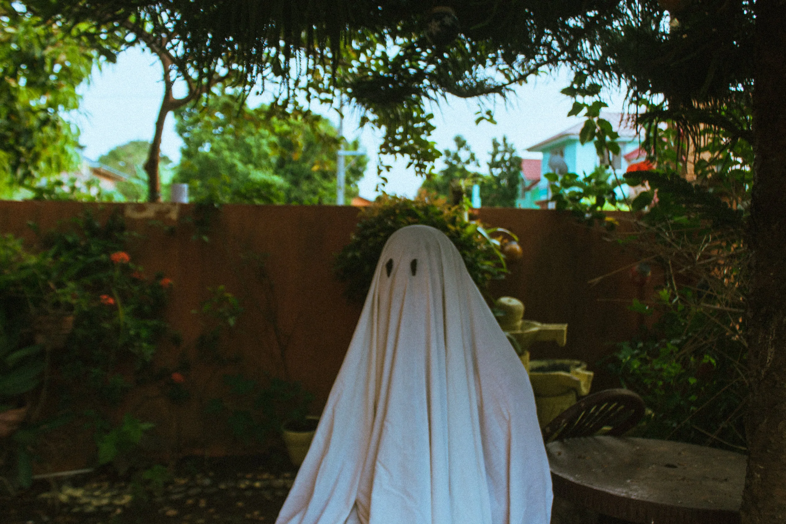 home10.jpg