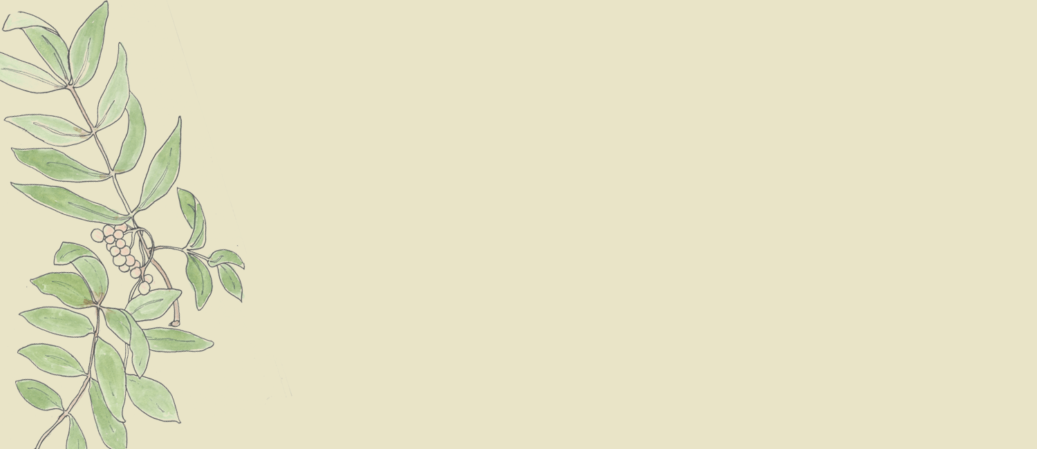 rowan.png