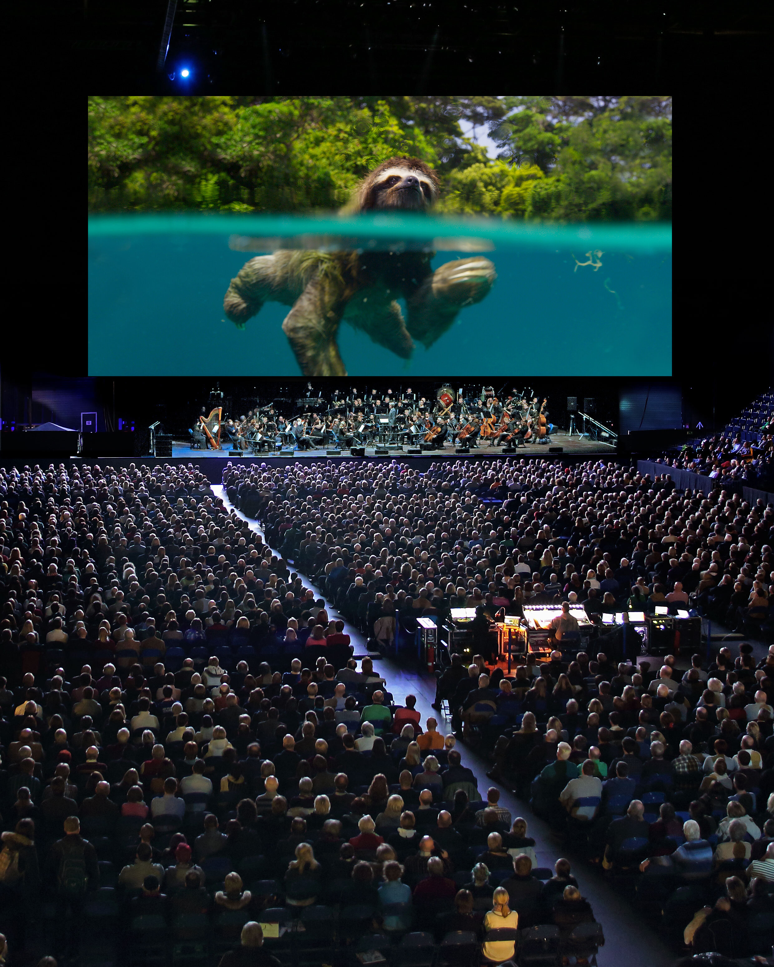 Planet Earth Orchestra 2019 Sloth.jpg