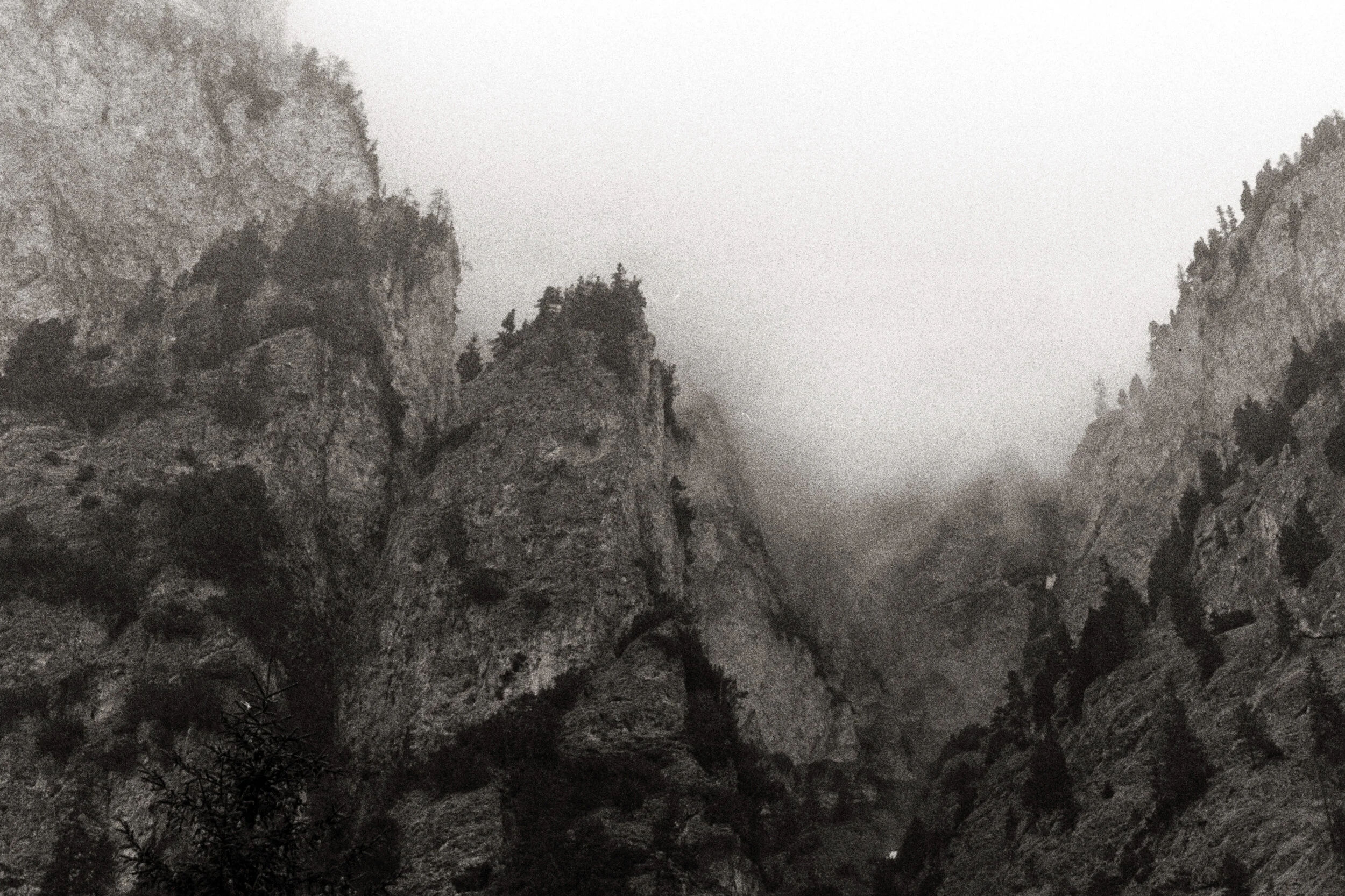 AA004.jpg