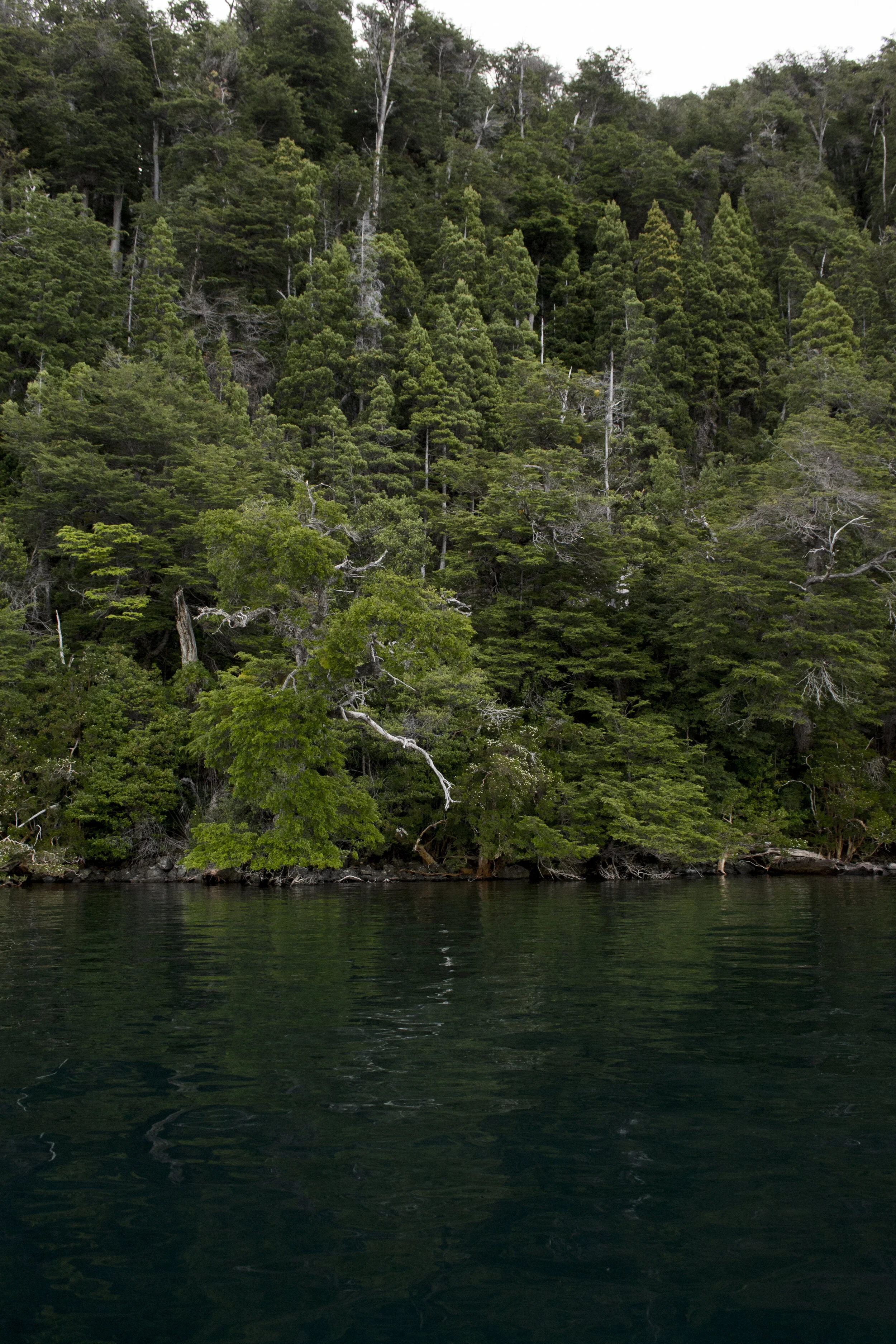 DSC_0261.JPG
