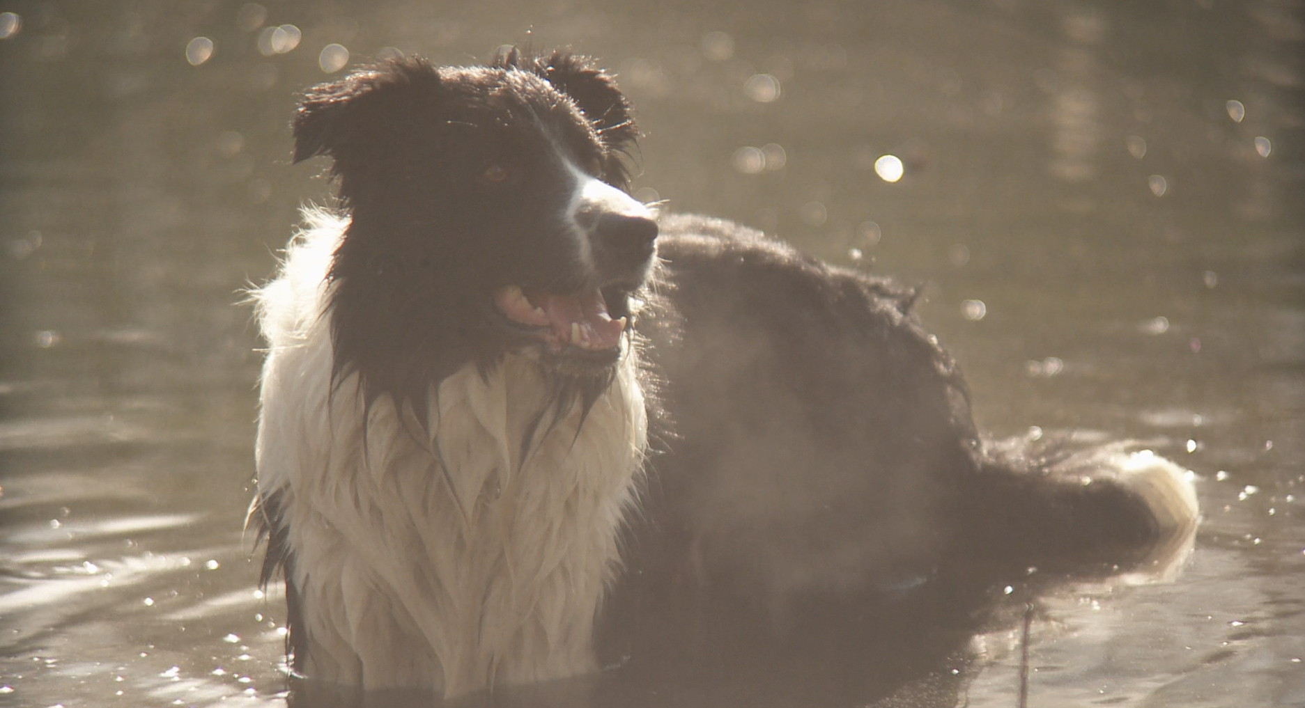 Screenshot 2020-02-18 at 12.48.38.png