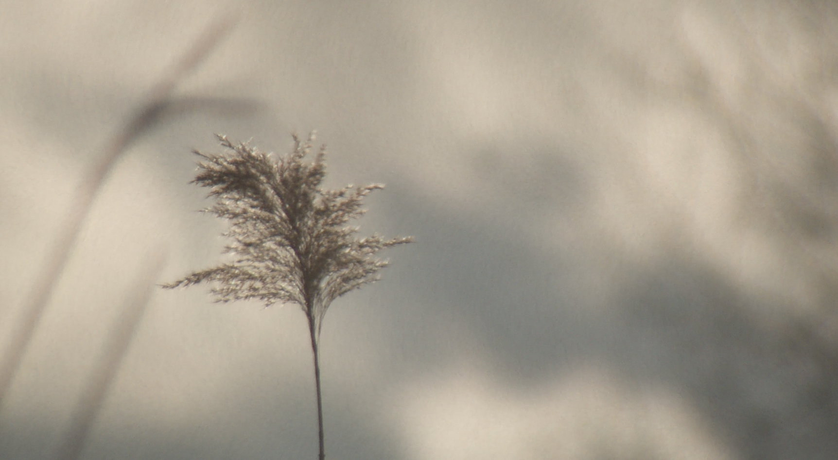 Screenshot 2020-02-18 at 12.49.23.png