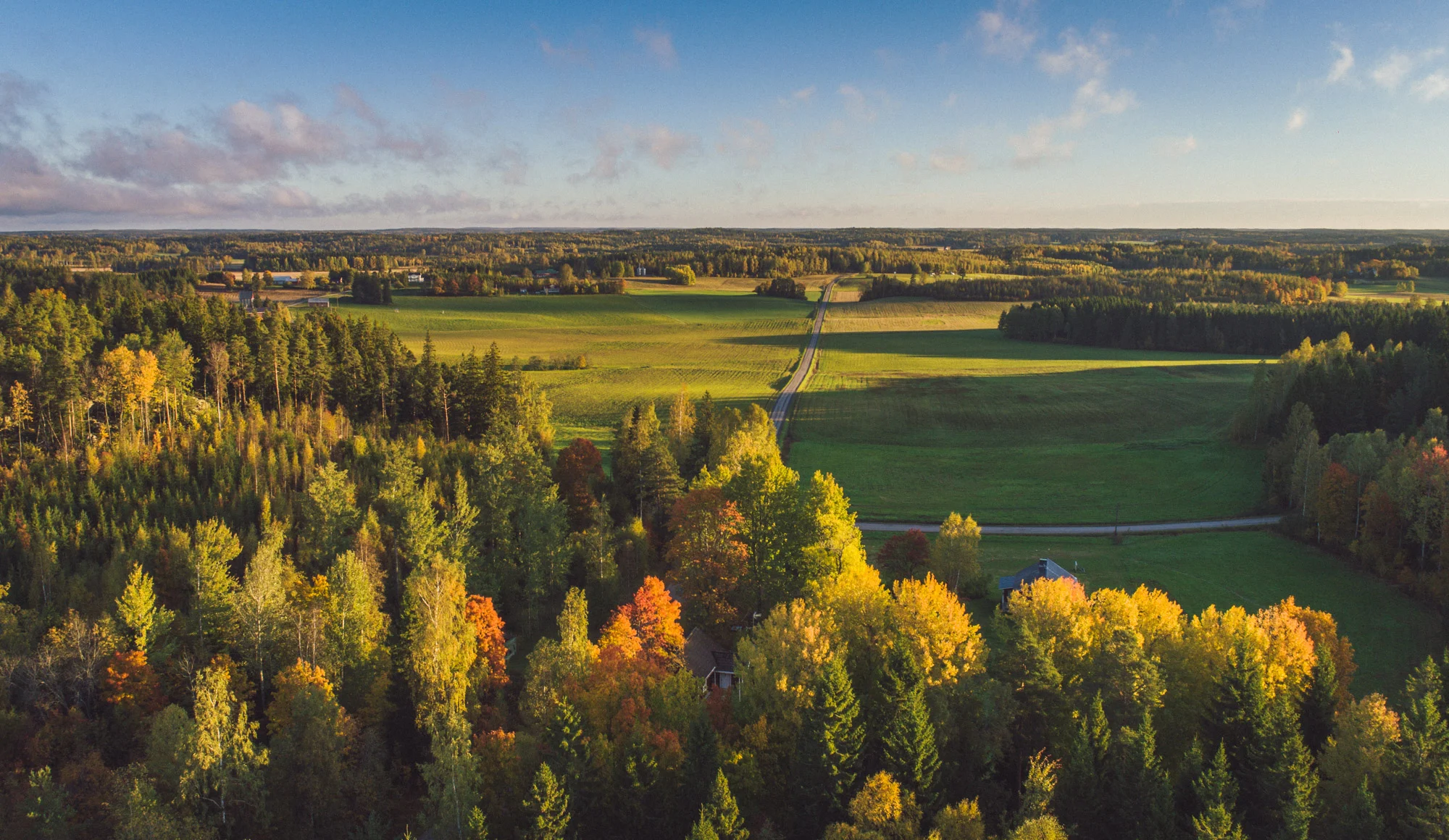 takter landskap.jpg