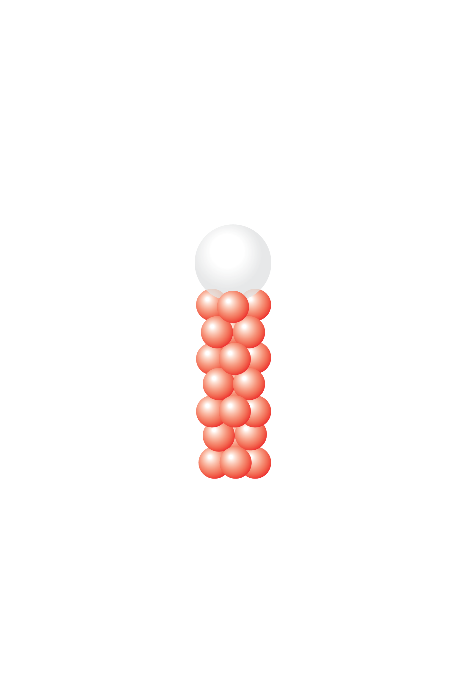 Copy of Single Colour