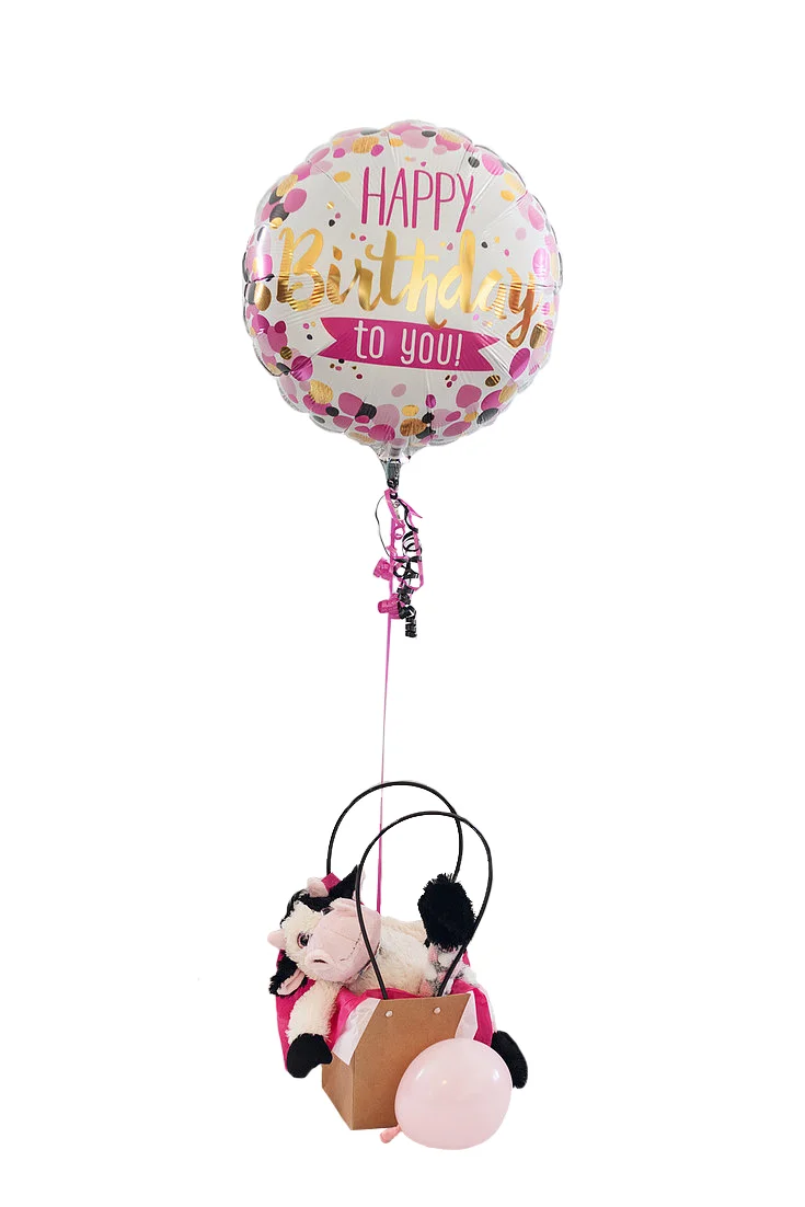 Single Balloon | Plush Gift Bag — Creative Balloons