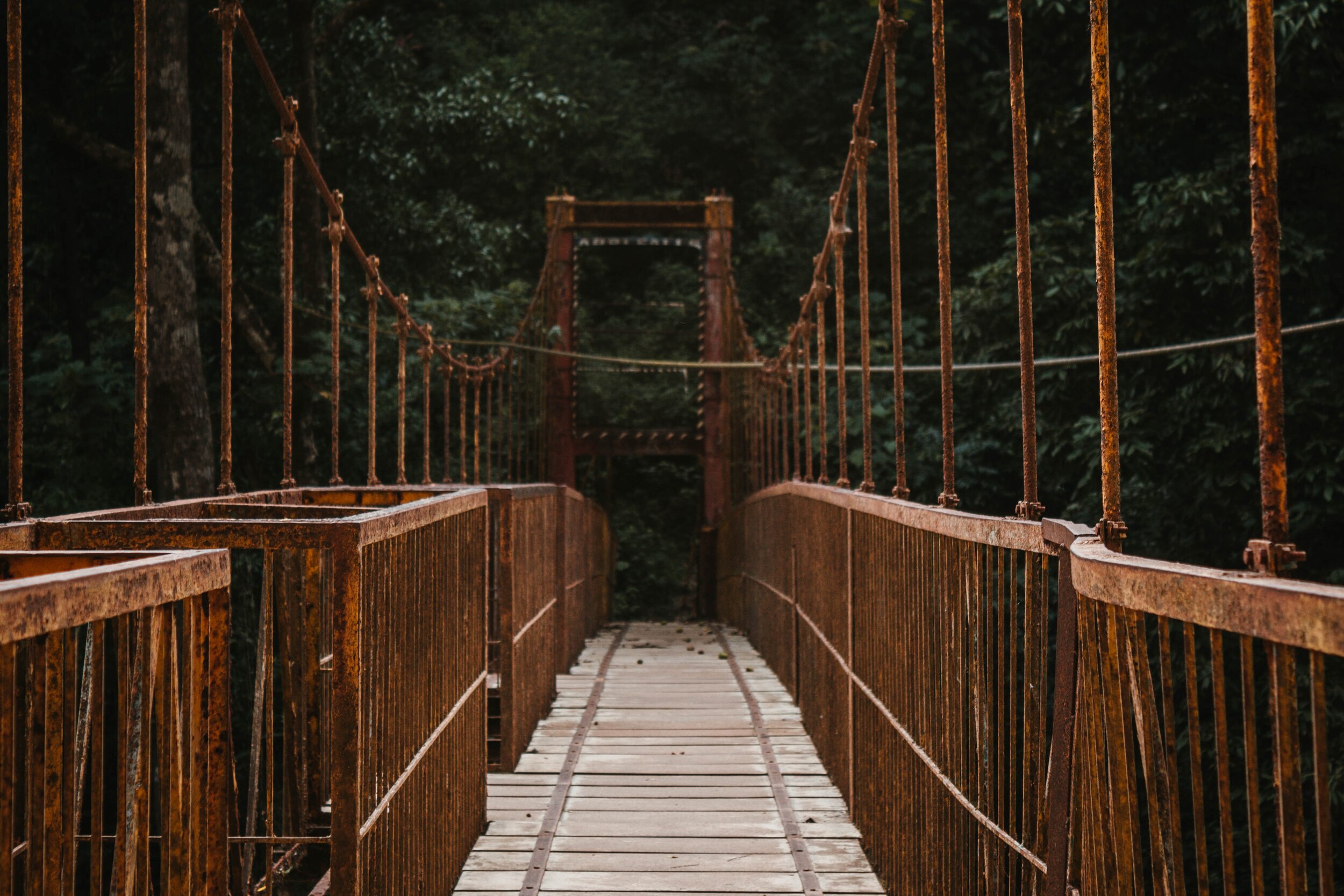 The Way of Salvation: The Sanctuary. 
