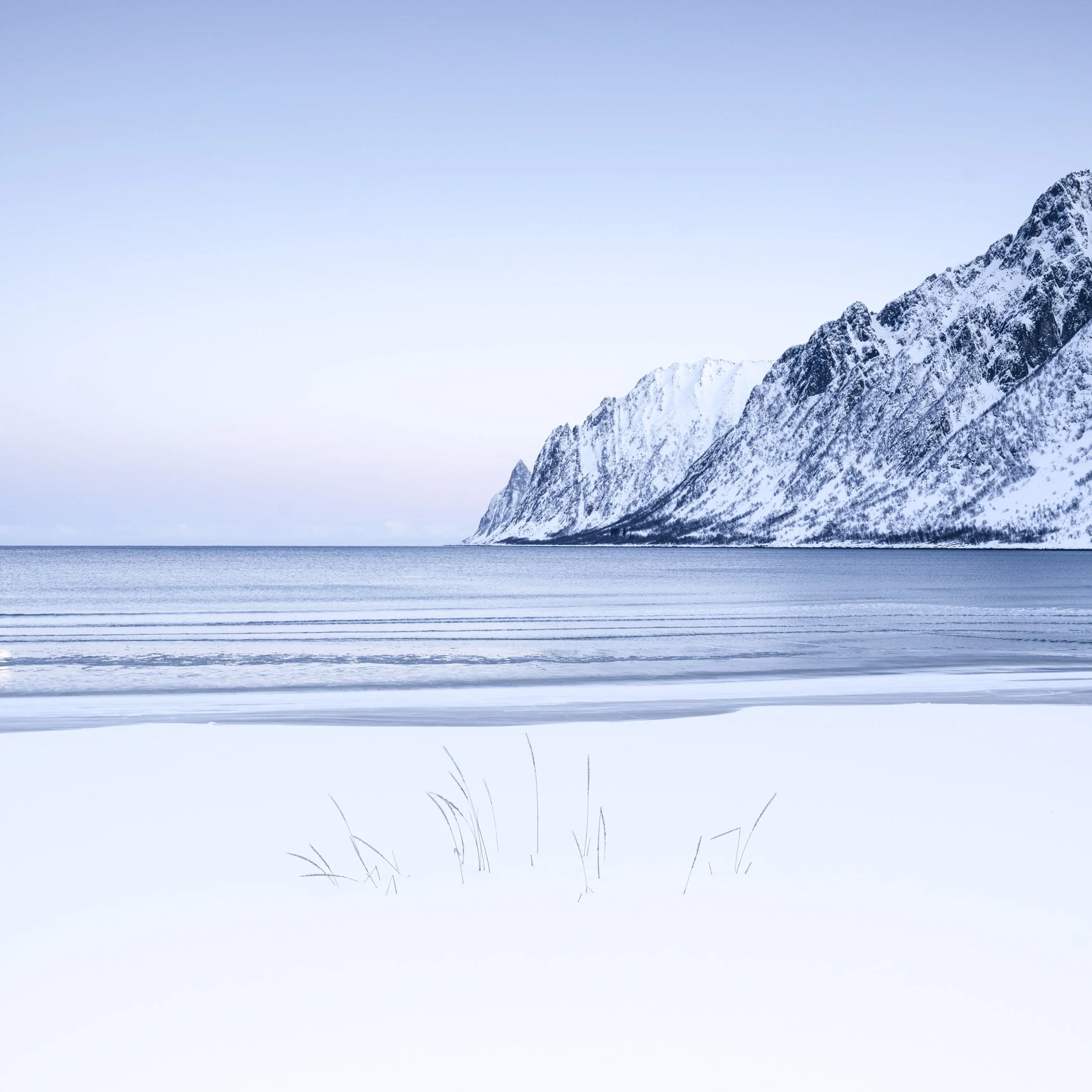 _DSC9130.jpg