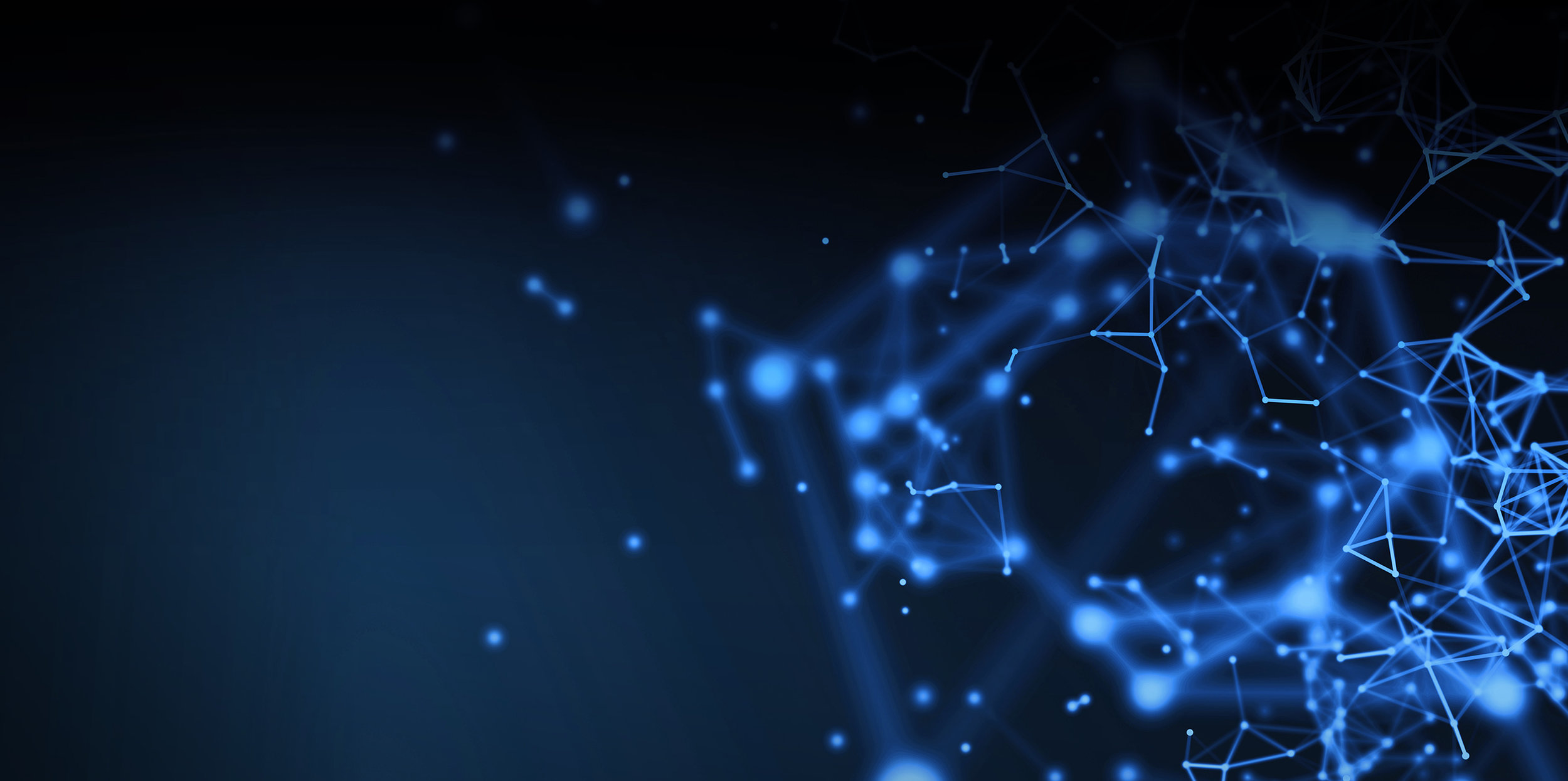 tingh_lillebakk_nettside_header.jpg