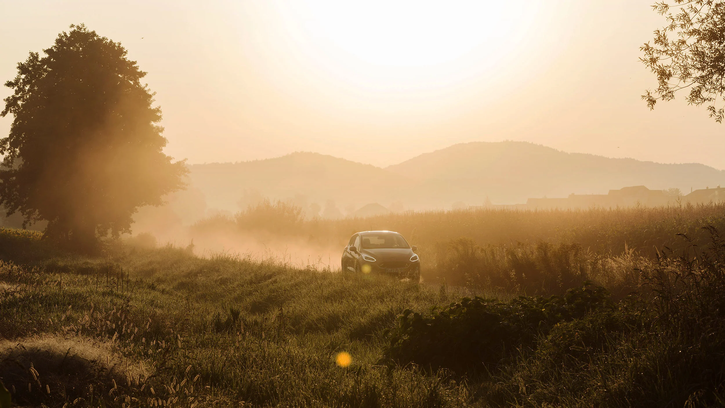 tingh_ford fiesta_header.jpg