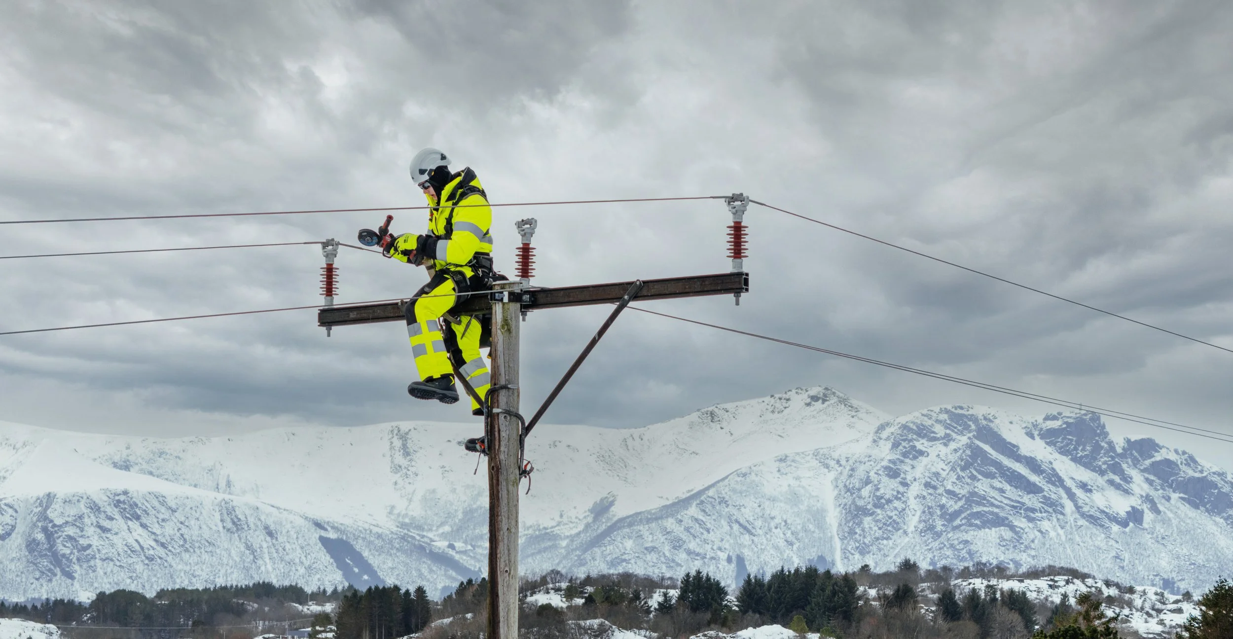 Wenaas multinorm-8.jpg