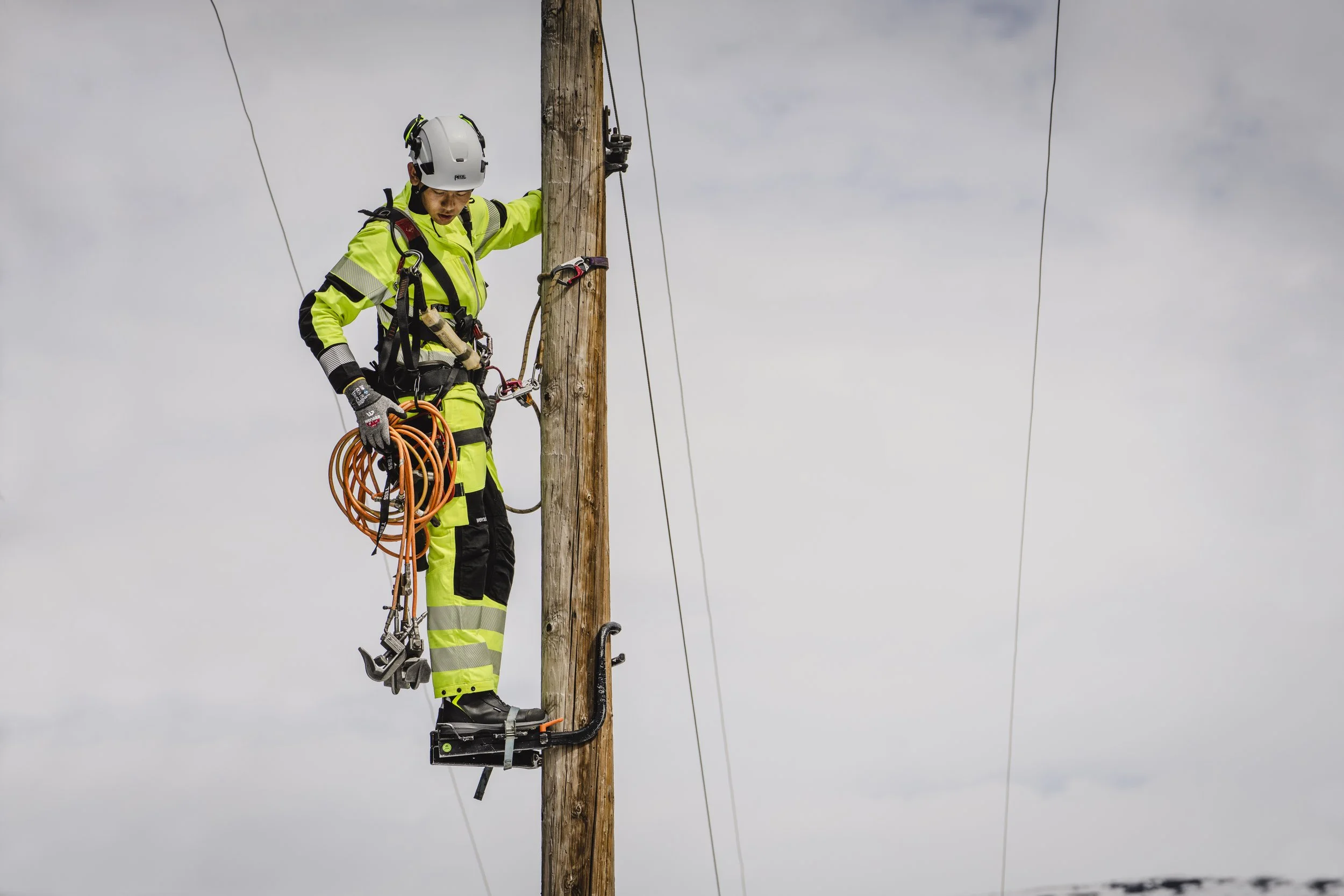 wenaas-DSC00849 kopi2.jpg