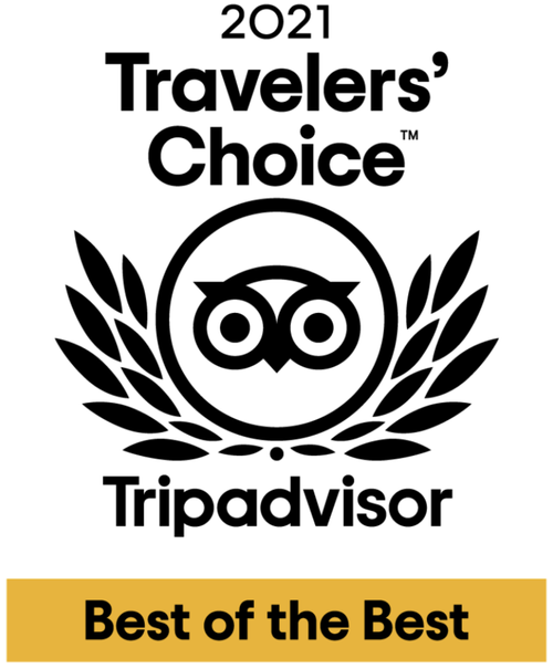 best-tours-in-singapore-2021