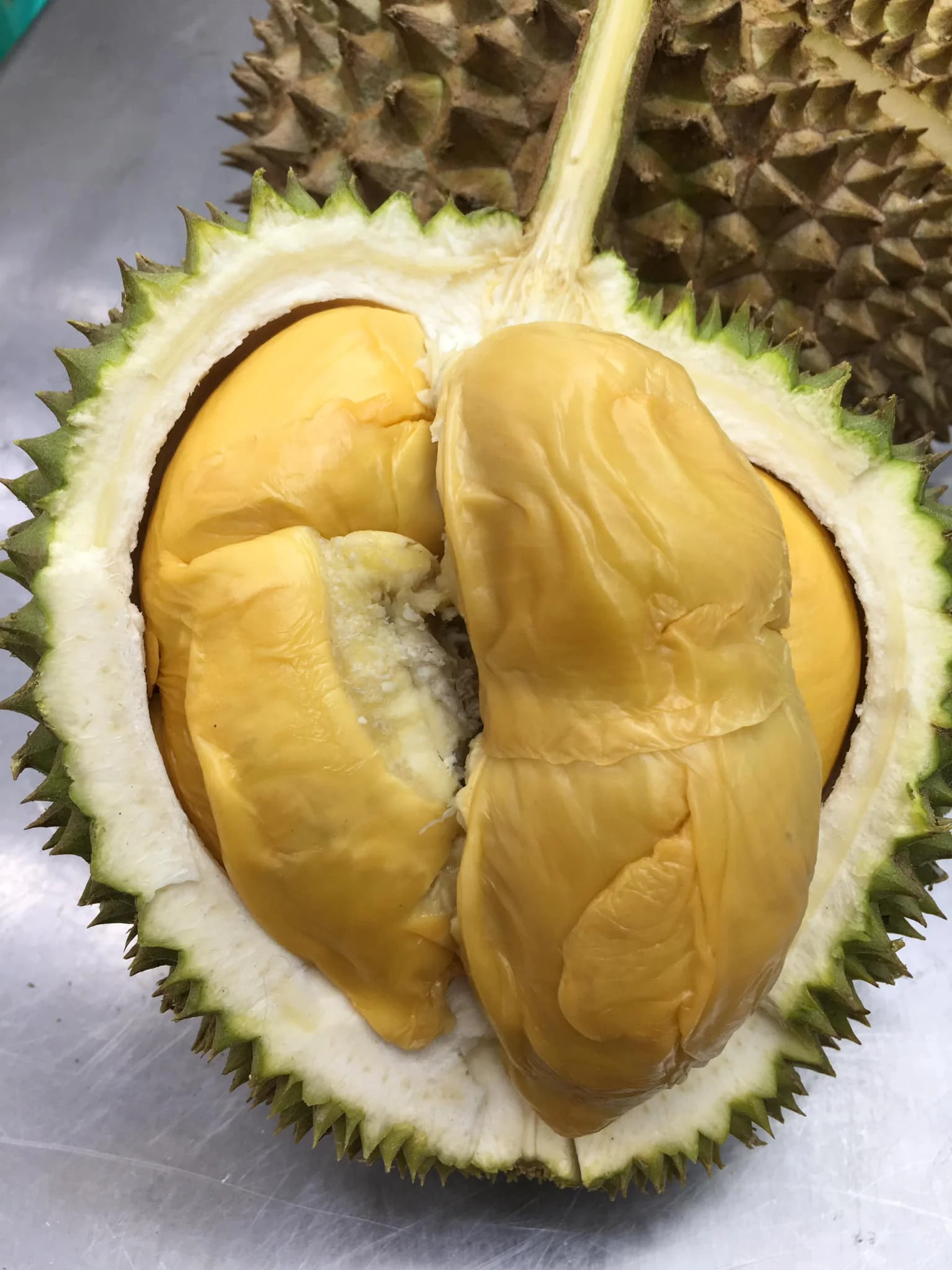 National Fruit Of Malaysia Malaysian Fruits Postcard Stickerrific