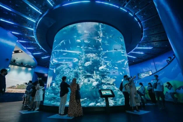  If In Singapore - You Need to Visit These Three Places