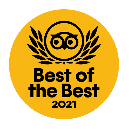 best of the best food tour in singapore