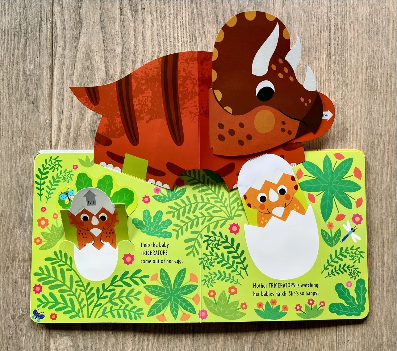 Dino Pop Ups for Nextquisite
