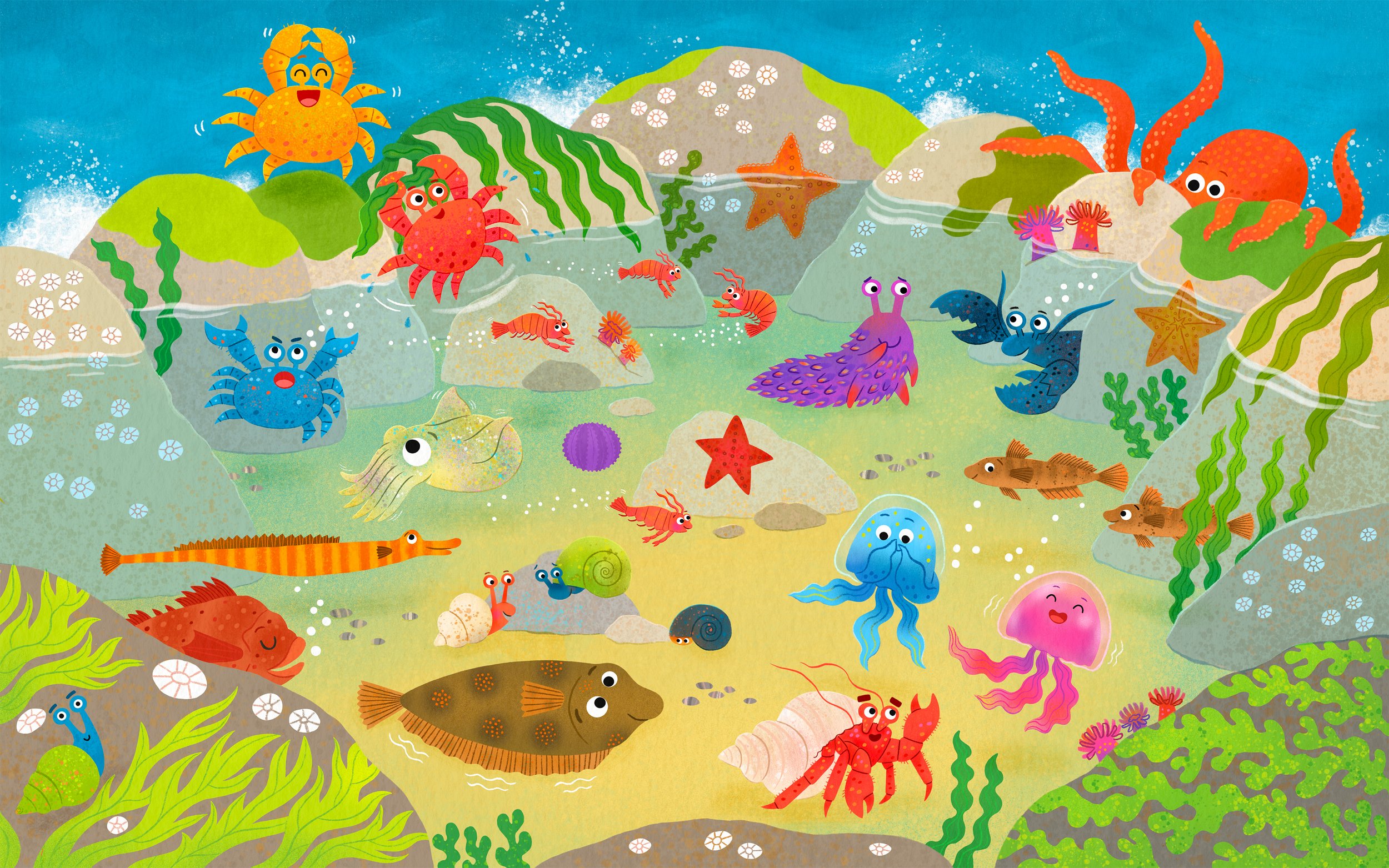 AH26 Rockpool Friends