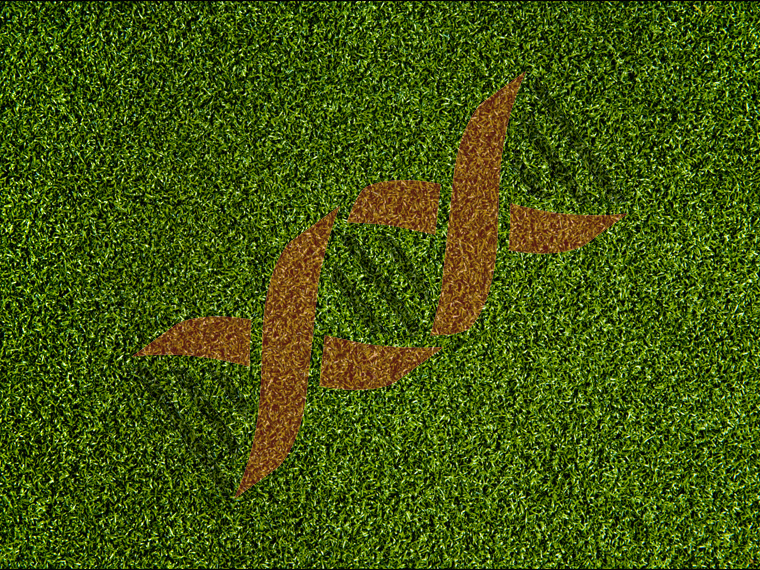 RM_logo.png