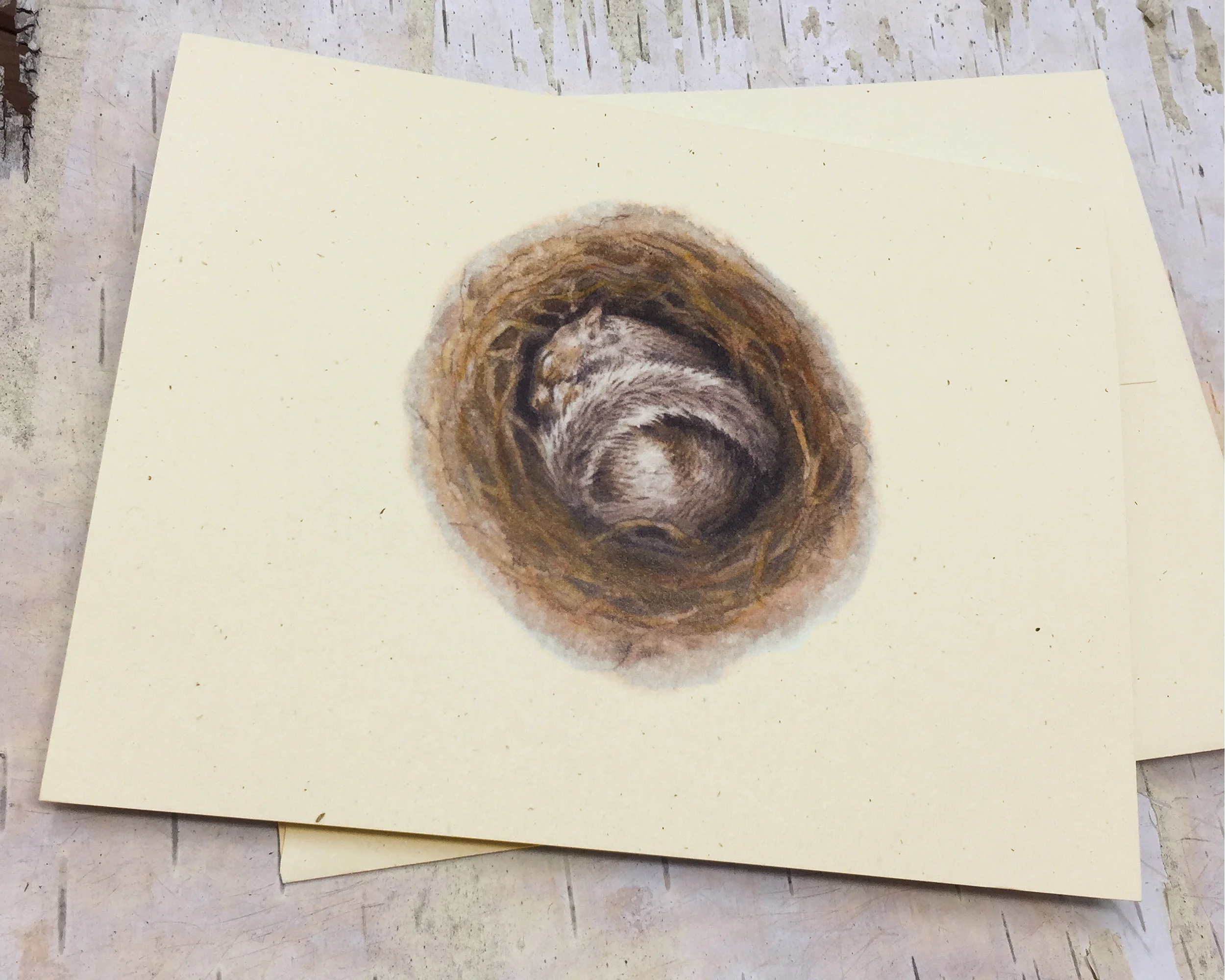 Notecard with a watercolor illustration of a sleeping grey squirrel