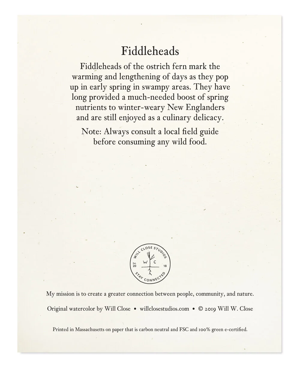 Back side of notecard with information about the fiddlehead fern