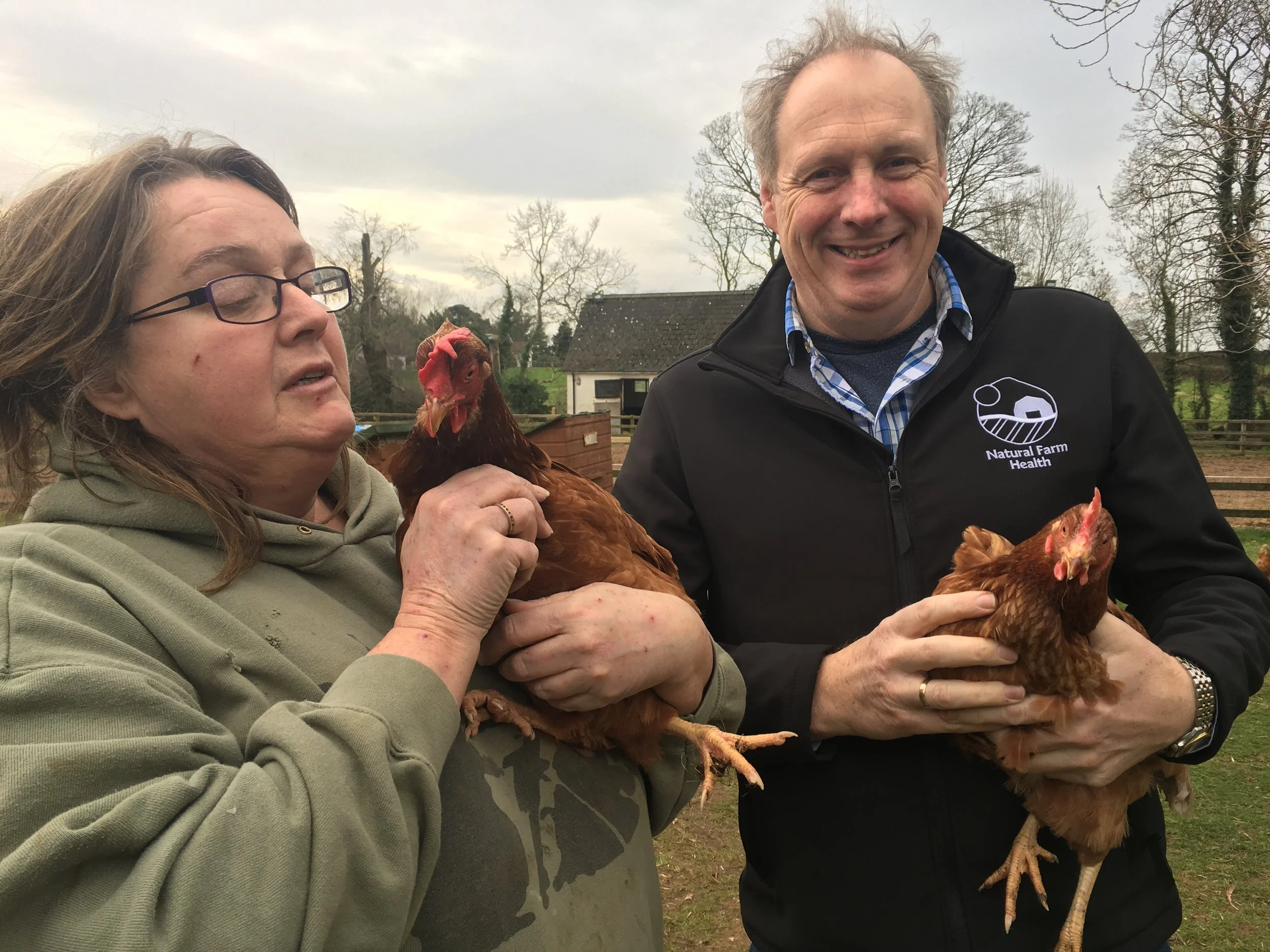 Natural Animal Health helps rescue hens
