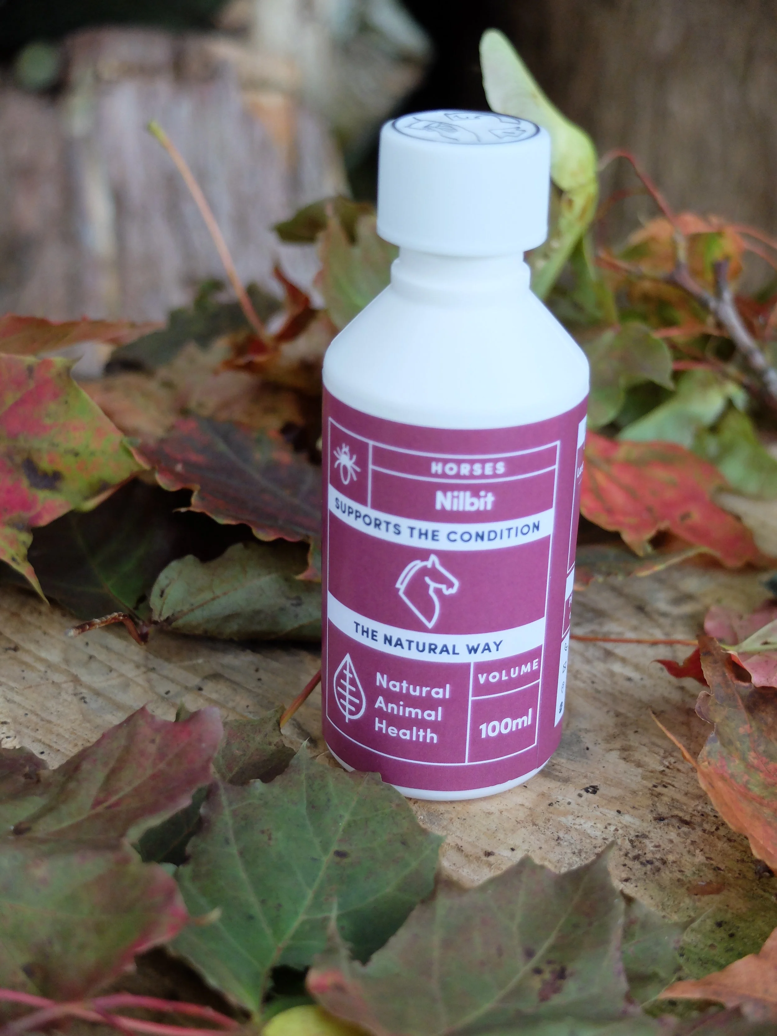 Nilbit for Lice in Horses