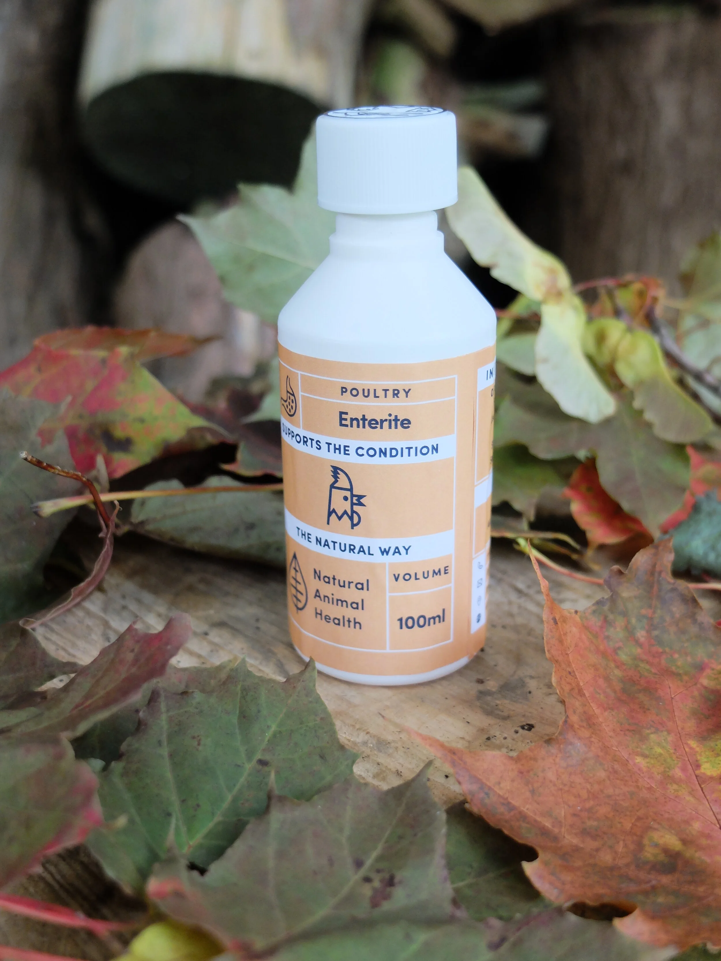 Natural support for hens with digestive upsets