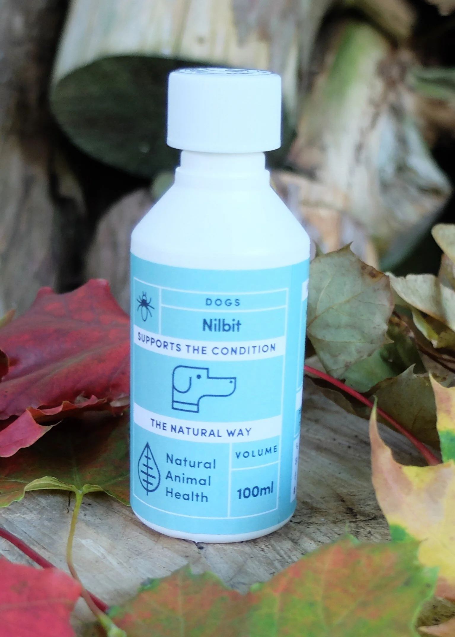 Treating dogs for lice naturally