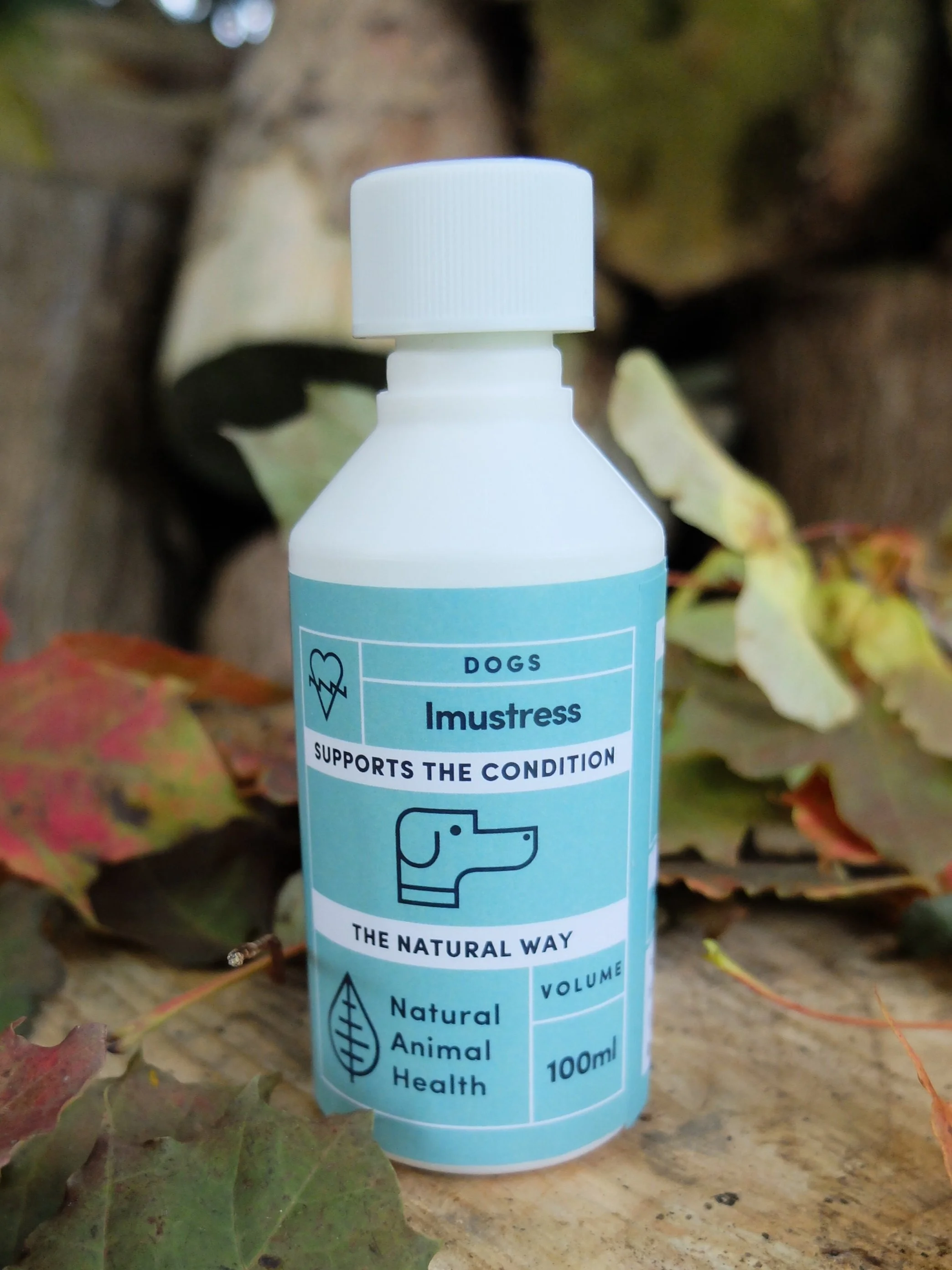 Natural way to reduce stress in dogs