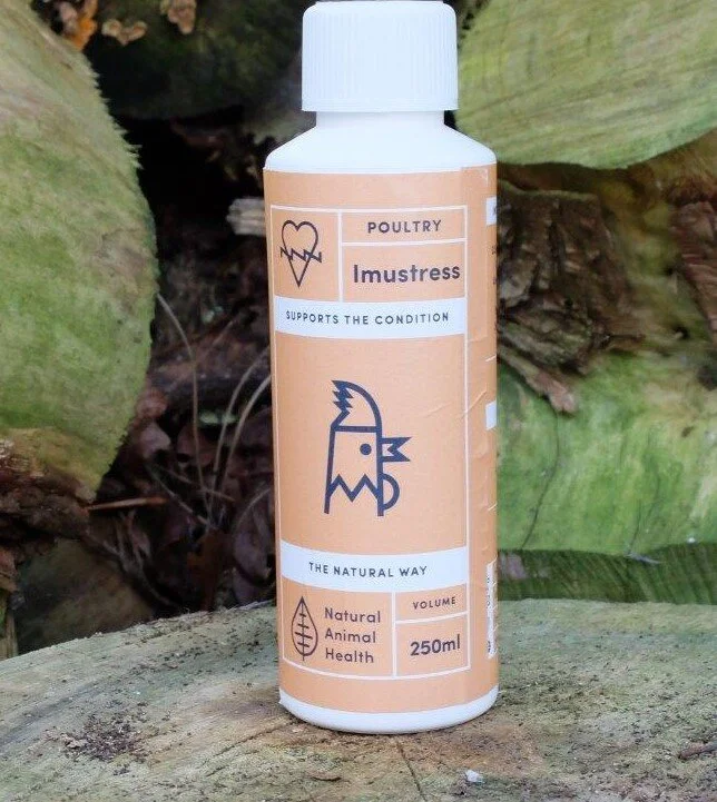 Imustress for Stressed Chickens 