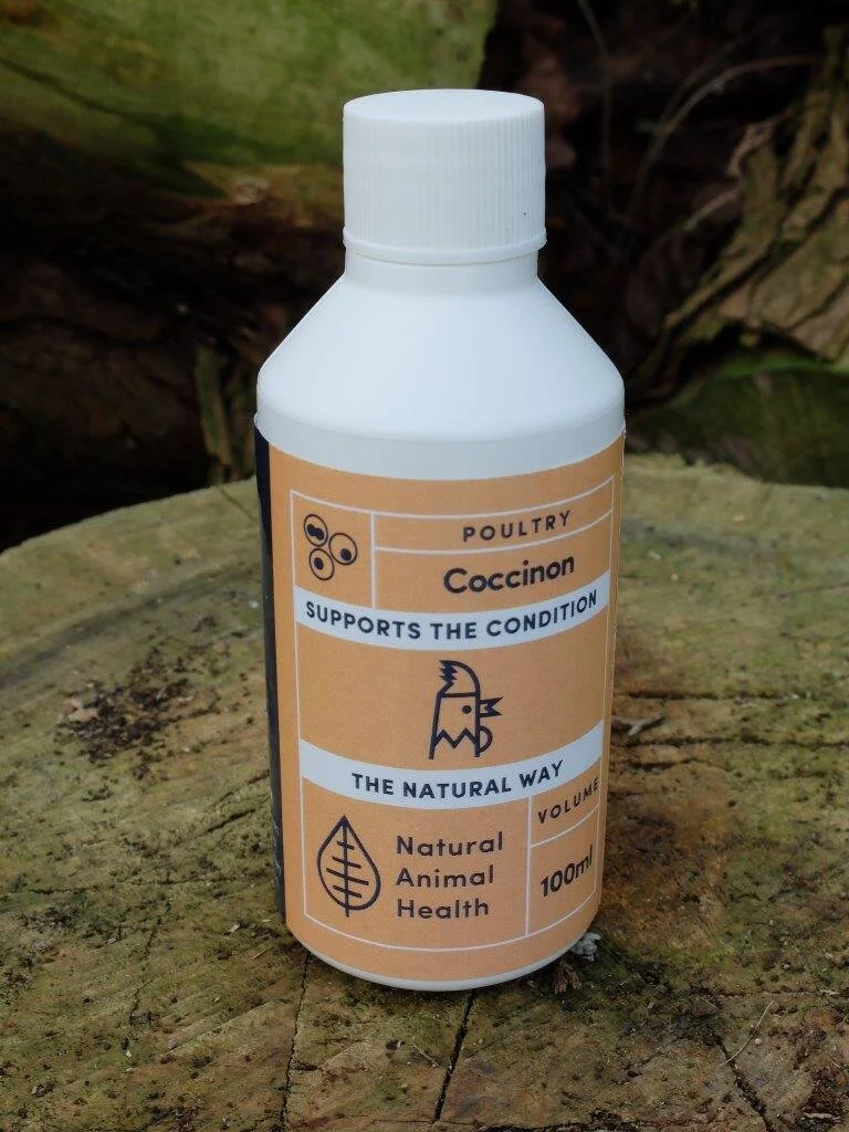 Coccinon for coccidiosis in chickens